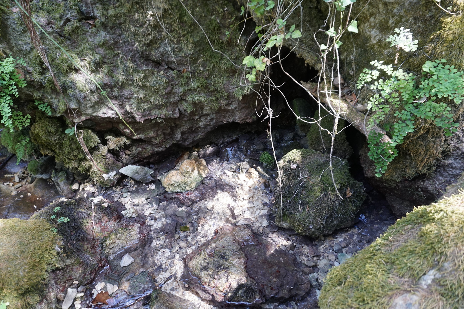 รูปถ่าย ฝรั่งเศส(France) ฟงแตน-เดอ-โวกลูซ(Fontaine-de-Vaucluse) 2017-08 57