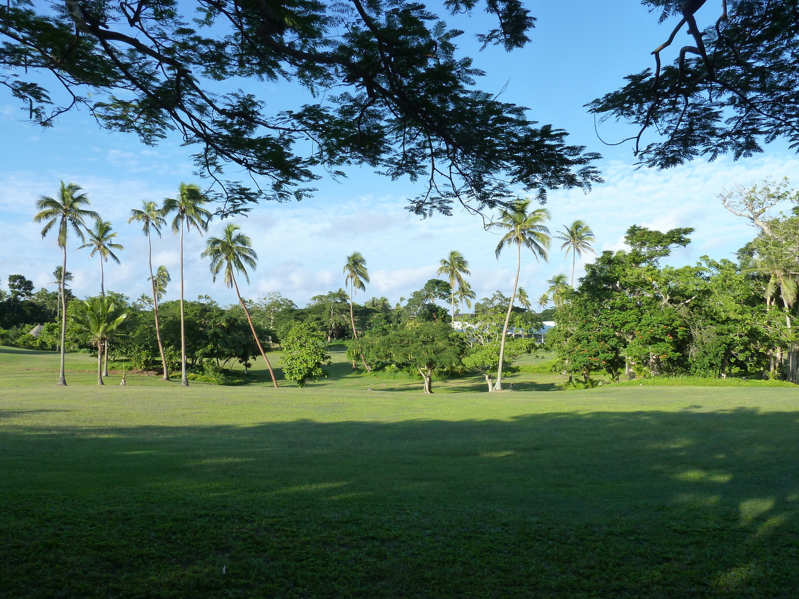 รูปถ่าย ฟิจิ(Fiji) รีสอร์ตแชงกรี-ลาฟิเจียน(Shangri La Fijian Resort) 2010-05 0