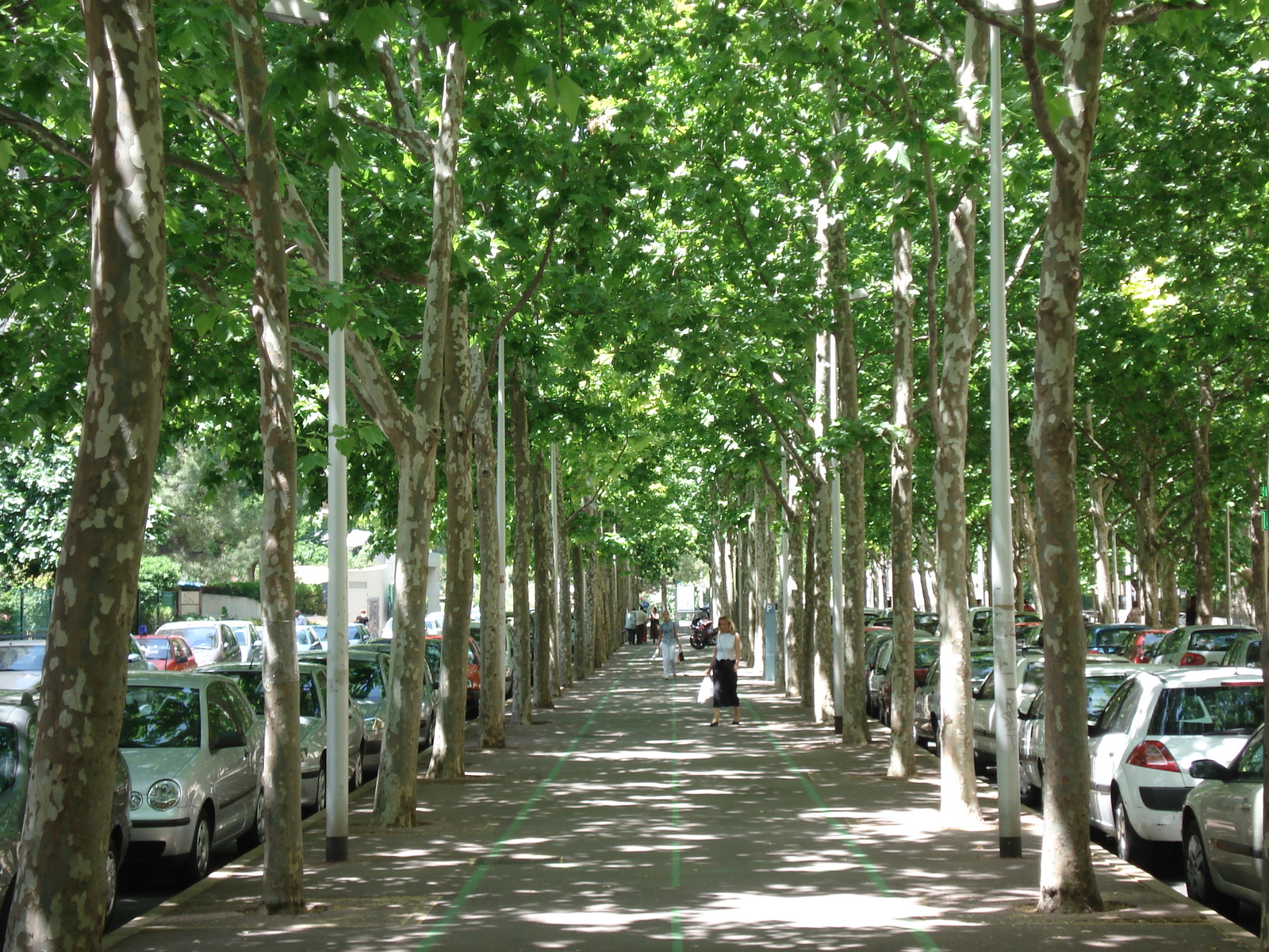 รูปถ่าย ฝรั่งเศส(France) มงเปลลีเยร์(Montpellier) 2006-06 134