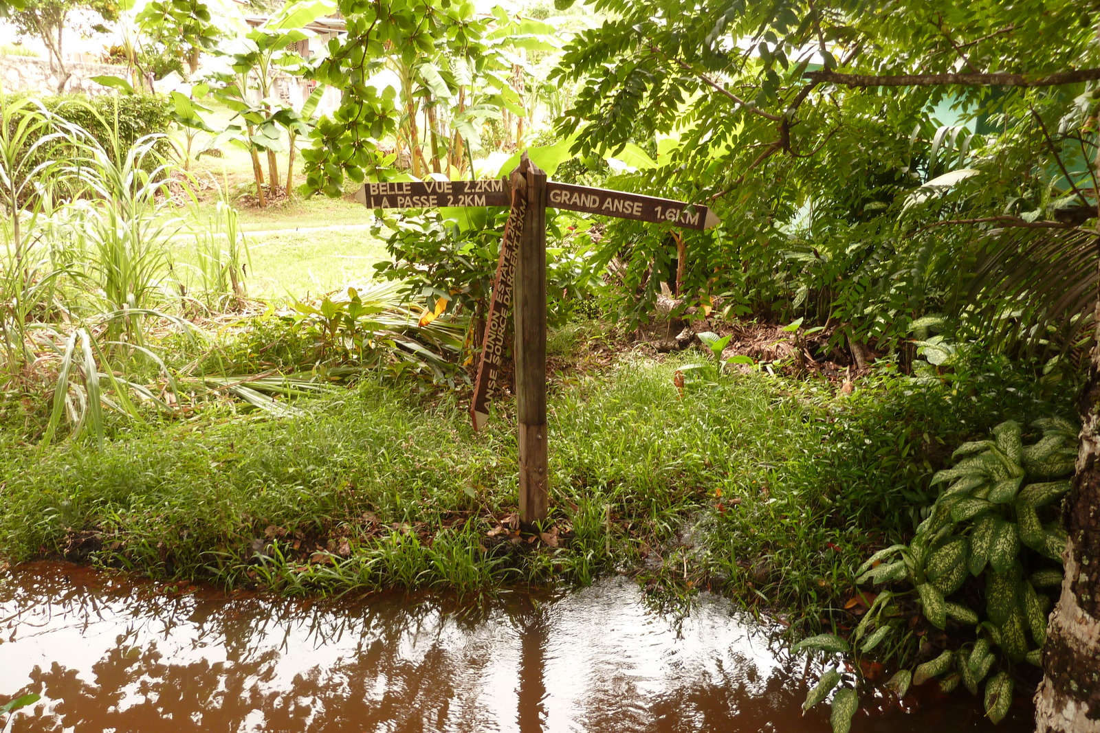 รูปถ่าย เซเชลส์(Seychelles) เกาะลาดีก(La Digue) 2011-10 44
