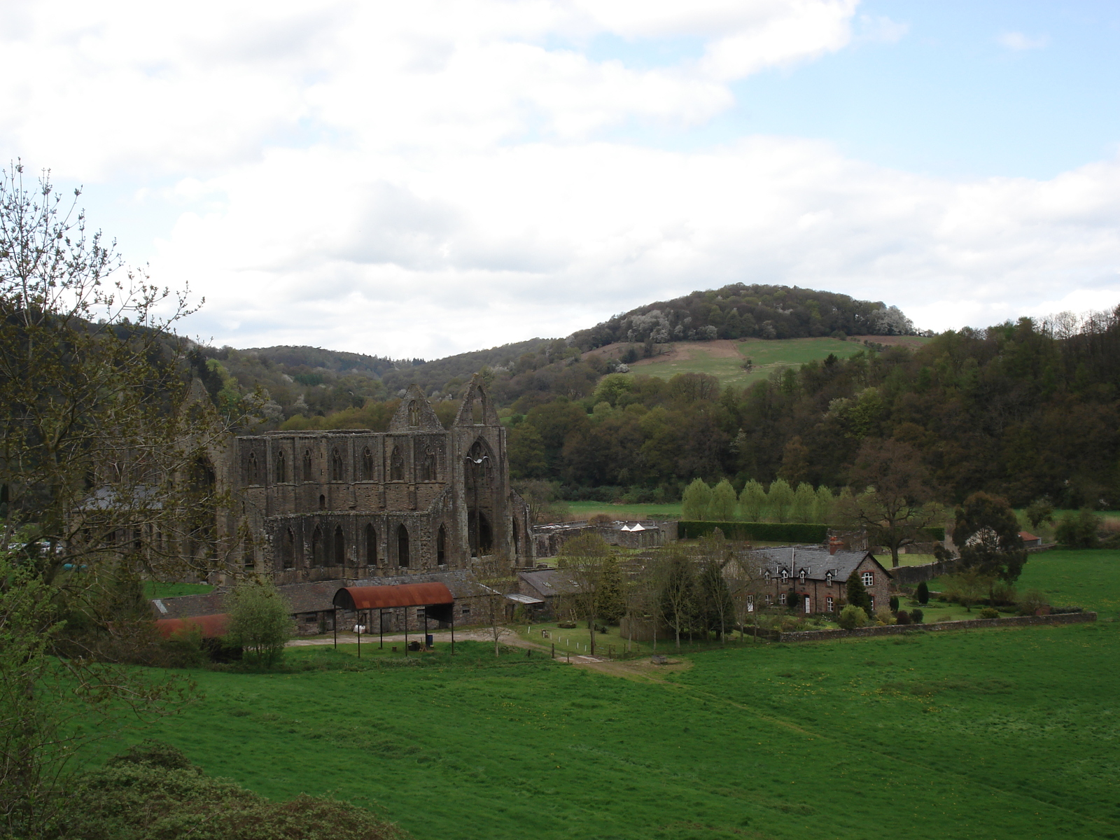 รูปถ่าย อังกฤษ(United Kingdom) ทินเทิร์น(Tintern) 2006-05 5