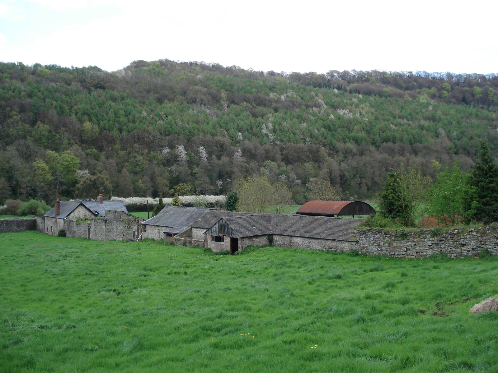 รูปถ่าย อังกฤษ(United Kingdom) ทินเทิร์น(Tintern) 2006-05 8