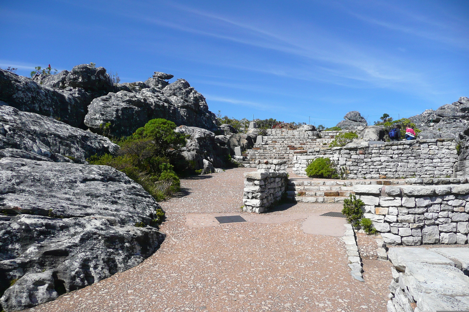 รูปถ่าย แอฟริกาใต้(South Africa) เคปทาวน์(Cape Town) ภูเขาเทเบิล(Table Mountain) 2008-09 36