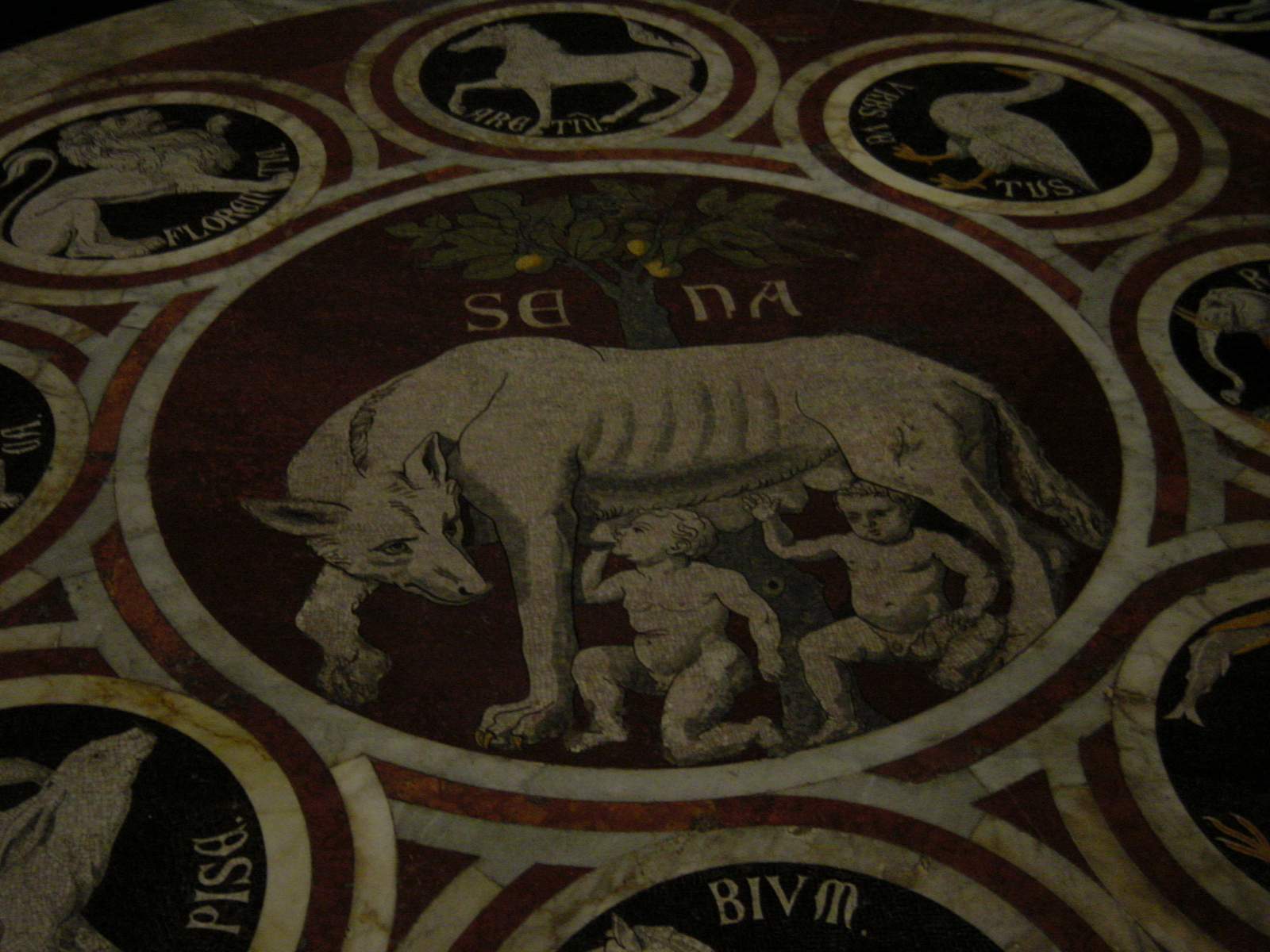 รูปถ่าย อิตาลี(Italy) ซีเอน่า(Siena) 2004-03 49