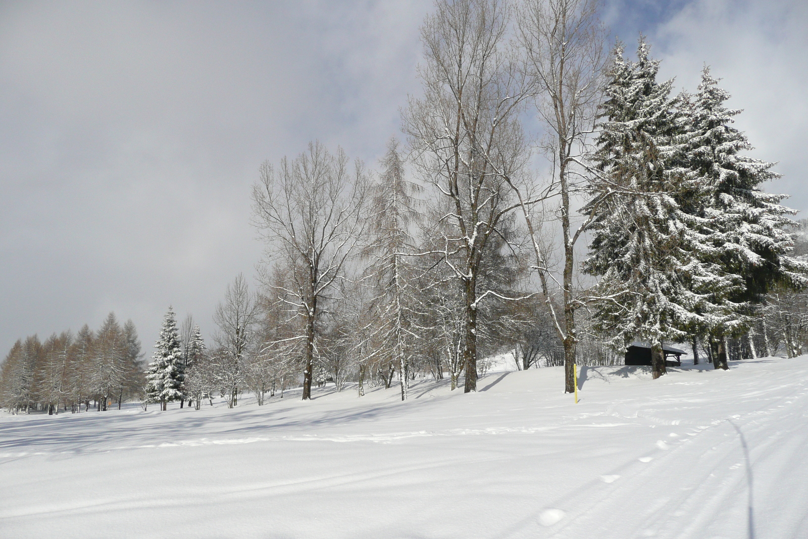 รูปถ่าย ฝรั่งเศส(France) เมแฌฟว์(Megeve) เลอปลาเน(Le Planay) 2010-02 25