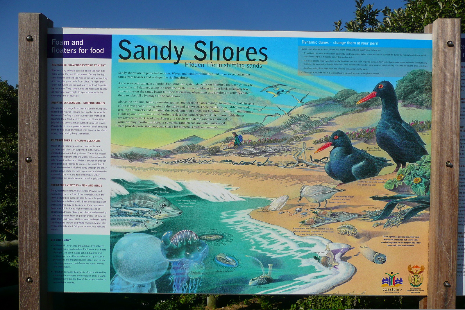 รูปถ่าย แอฟริกาใต้(South Africa) เฮอร์มานัส(Harmanus) 2008-09 18