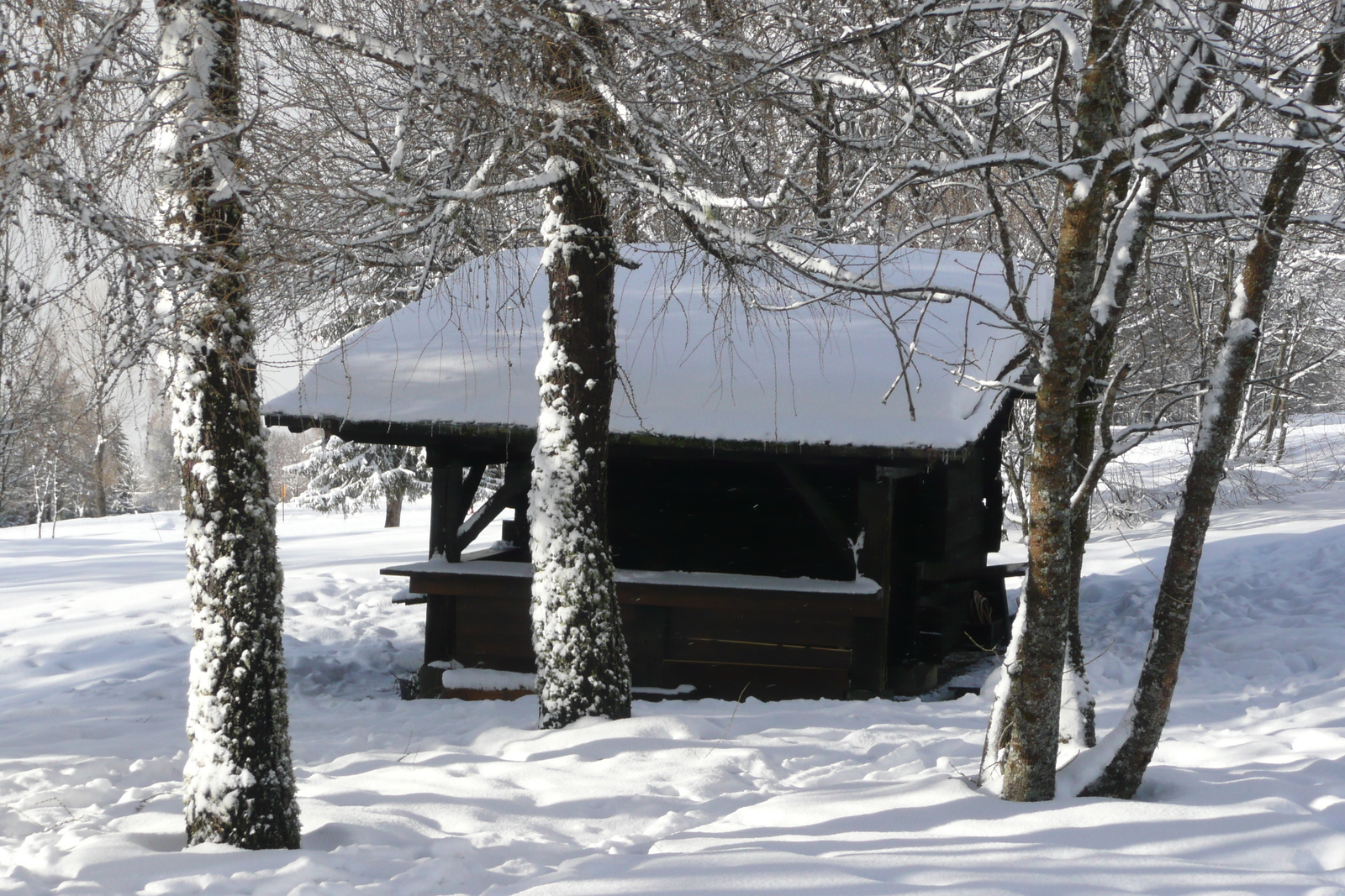 รูปถ่าย ฝรั่งเศส(France) เมแฌฟว์(Megeve) เลอปลาเน(Le Planay) 2010-02 33