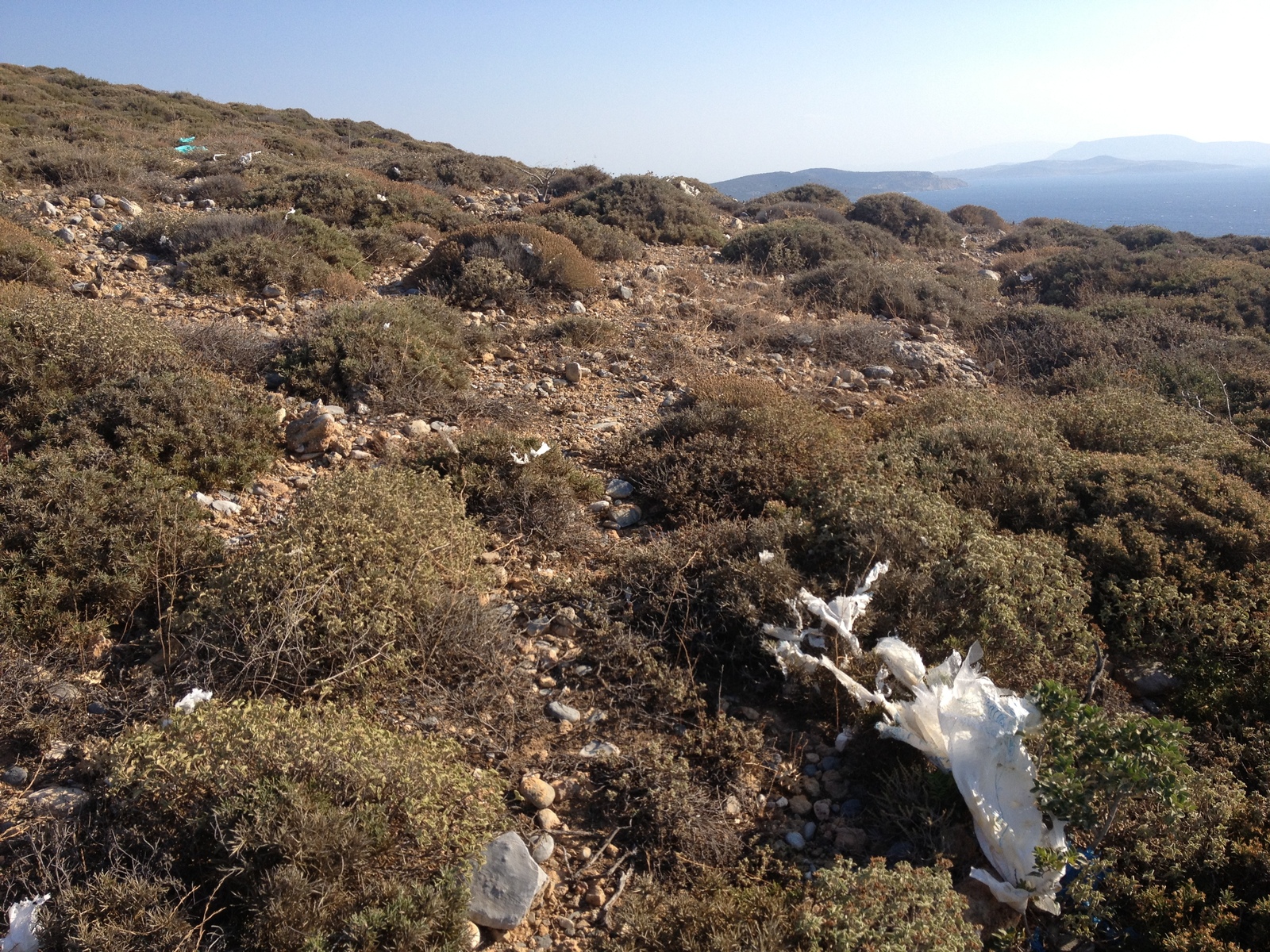 รูปถ่าย กรีก(Greece) เกาะคูโฟนิสเซีย(Koufonissia) 2014-07 569