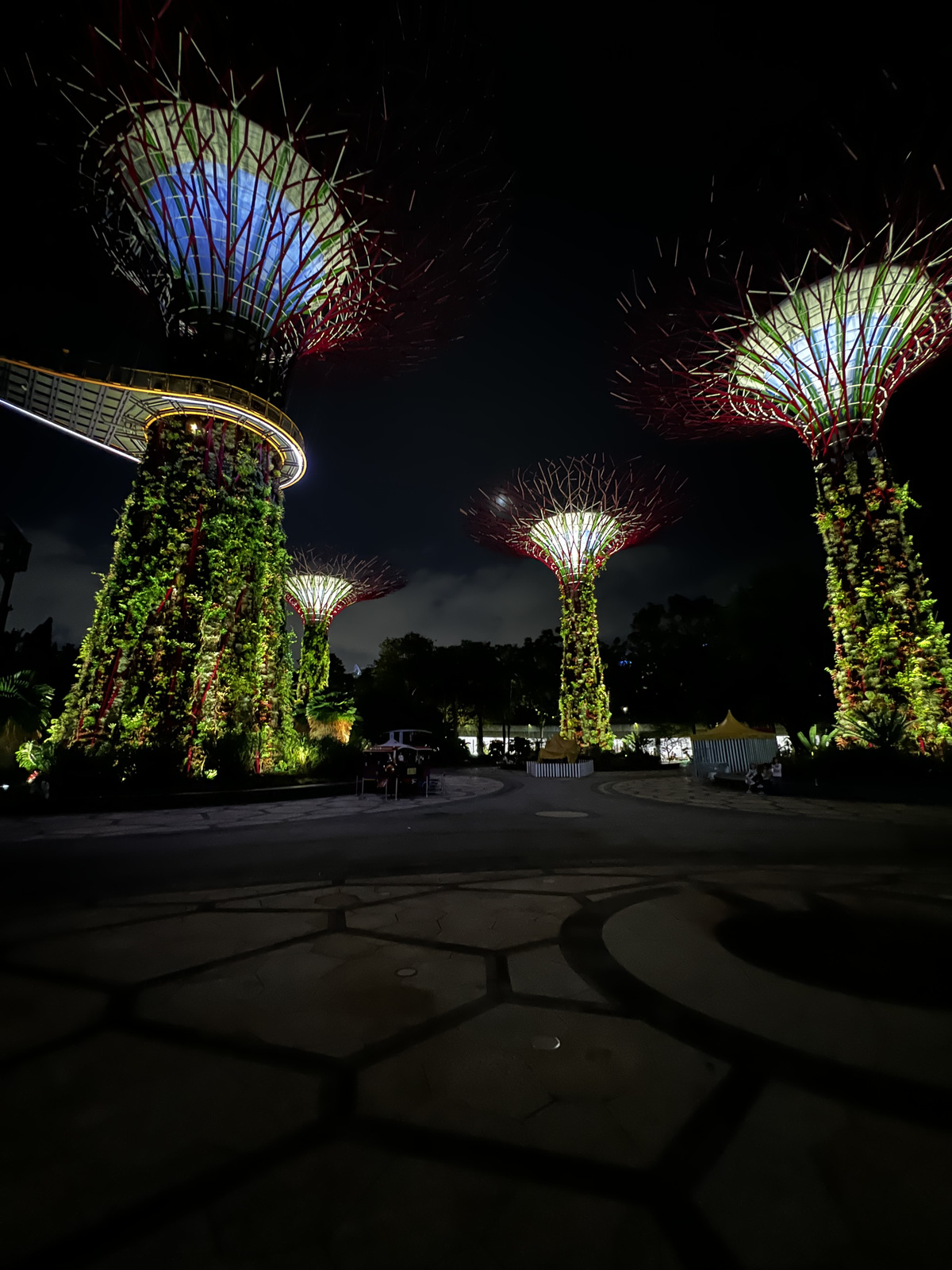 รูปถ่าย สิงคโปร์(Singapore) การ์เดนส์บายเดอะเบย์(Garden by the bay) 2023-01 27