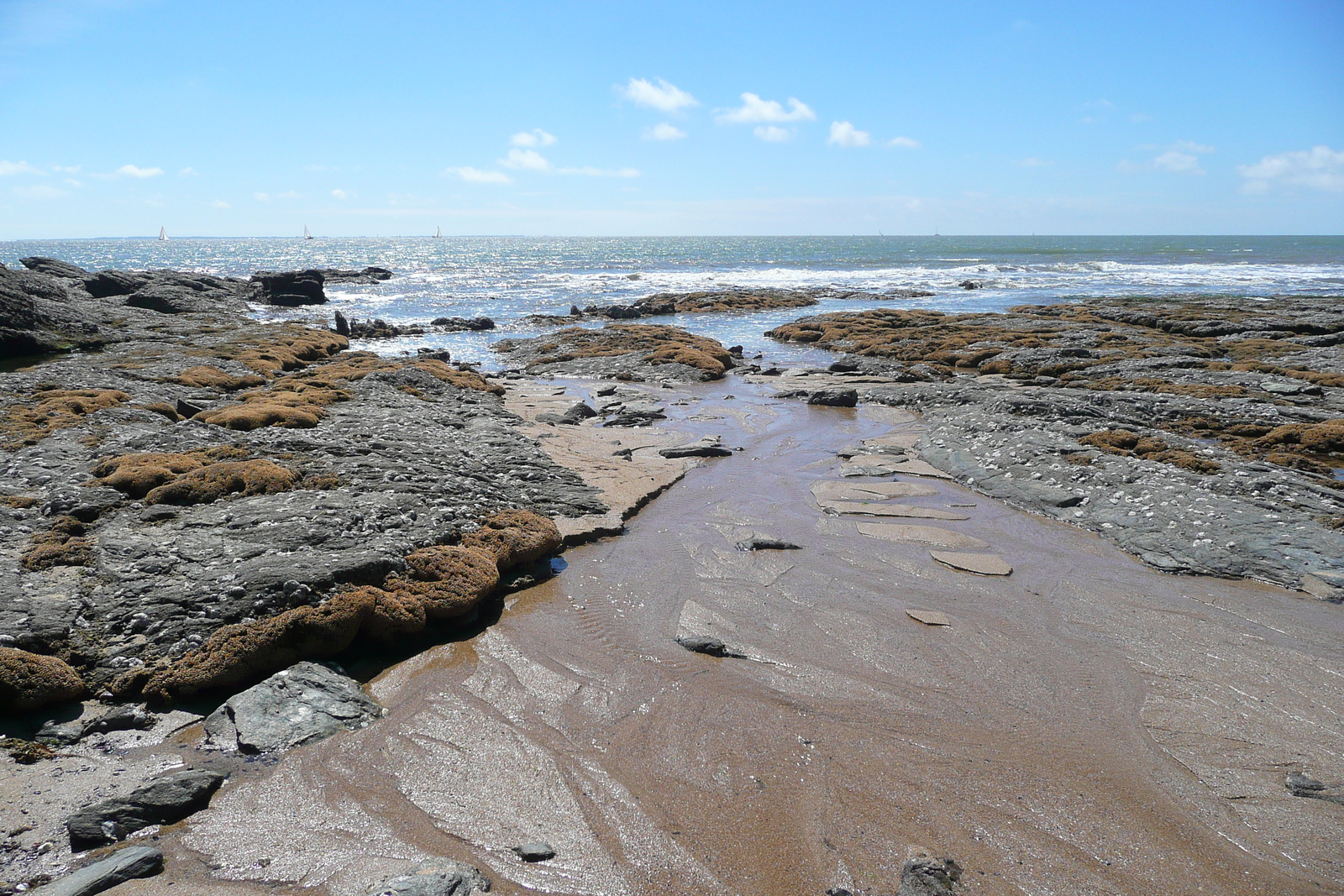 รูปถ่าย ฝรั่งเศส(France) ปอร์นิค(Pornic) หาดกร็องด์วาเล(grandes vallees Beach) 2008-07 10