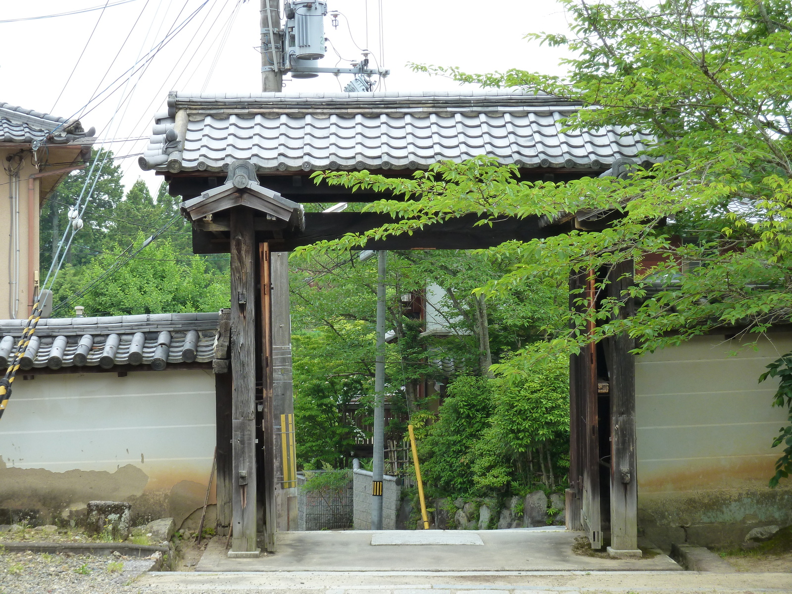 รูปถ่าย ญี่ปุ่น(Japan) เกียวโต(Kyoto) วัดนินนะจิ(Ninna ji Temple) 2010-06 49