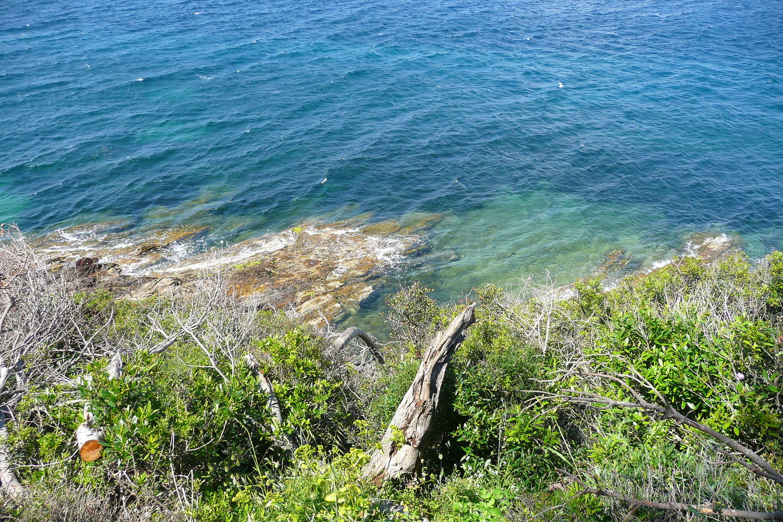 รูปถ่าย ฝรั่งเศส(France) เกาะปอร์เกอรอล(Porquerolles Island) แหลมเลอแก็ง(Pointe du Lequin) 2008-05 53
