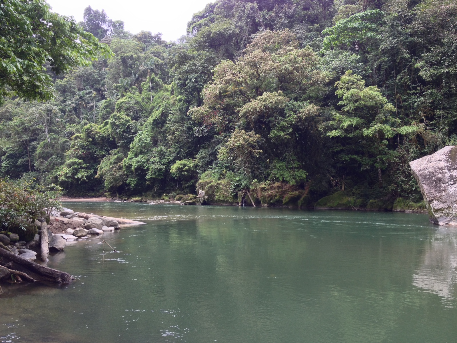 รูปถ่าย คอสตาริกา(Costa Rica) แม่น้ำปากัวเร(Pacuare River) 2015-03 2