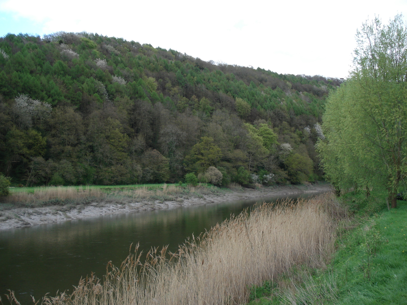 รูปถ่าย อังกฤษ(United Kingdom) ทินเทิร์น(Tintern) 2006-05 66