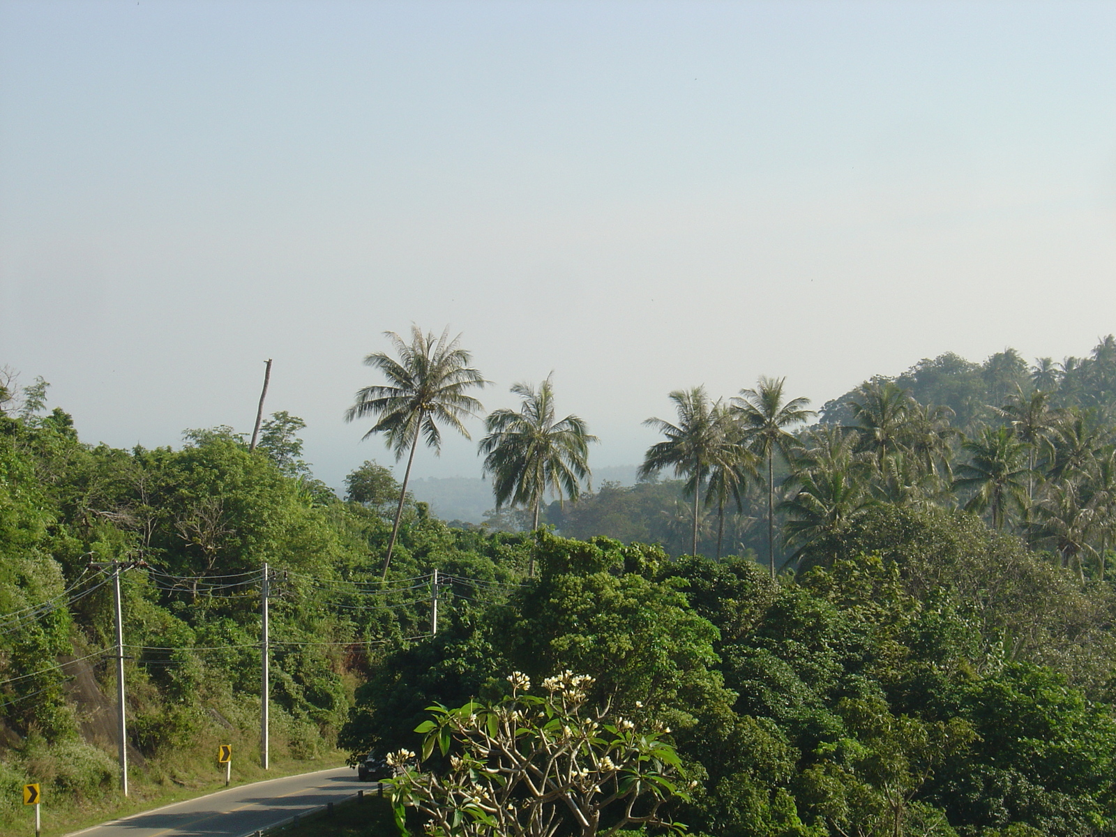 รูปถ่าย ไทย(Thailand) ภูเก็ต(Phuket) จุดชมวิวกะตะกะรน(Kata Karon Viewpoint) 2005-12 11