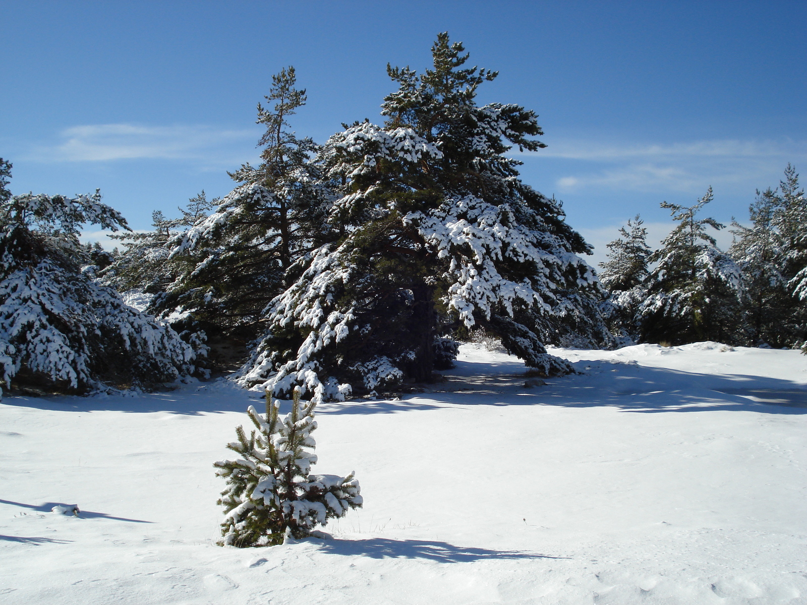 รูปถ่าย ฝรั่งเศส(France) เกรโอลีแยร(Greolieres les neiges) 2007-01 1