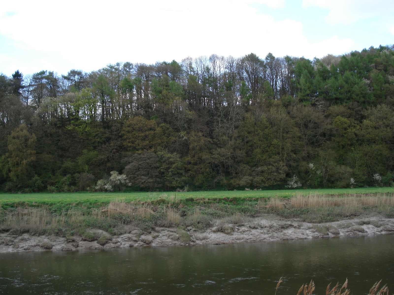 รูปถ่าย อังกฤษ(United Kingdom) ทินเทิร์น(Tintern) 2006-05 65