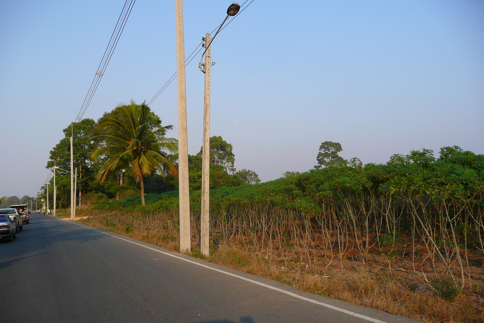 รูปถ่าย ไทย(Thailand) ชลบุรี(Chonburi) บางเสร่(Bang Saray) 2008-01 81