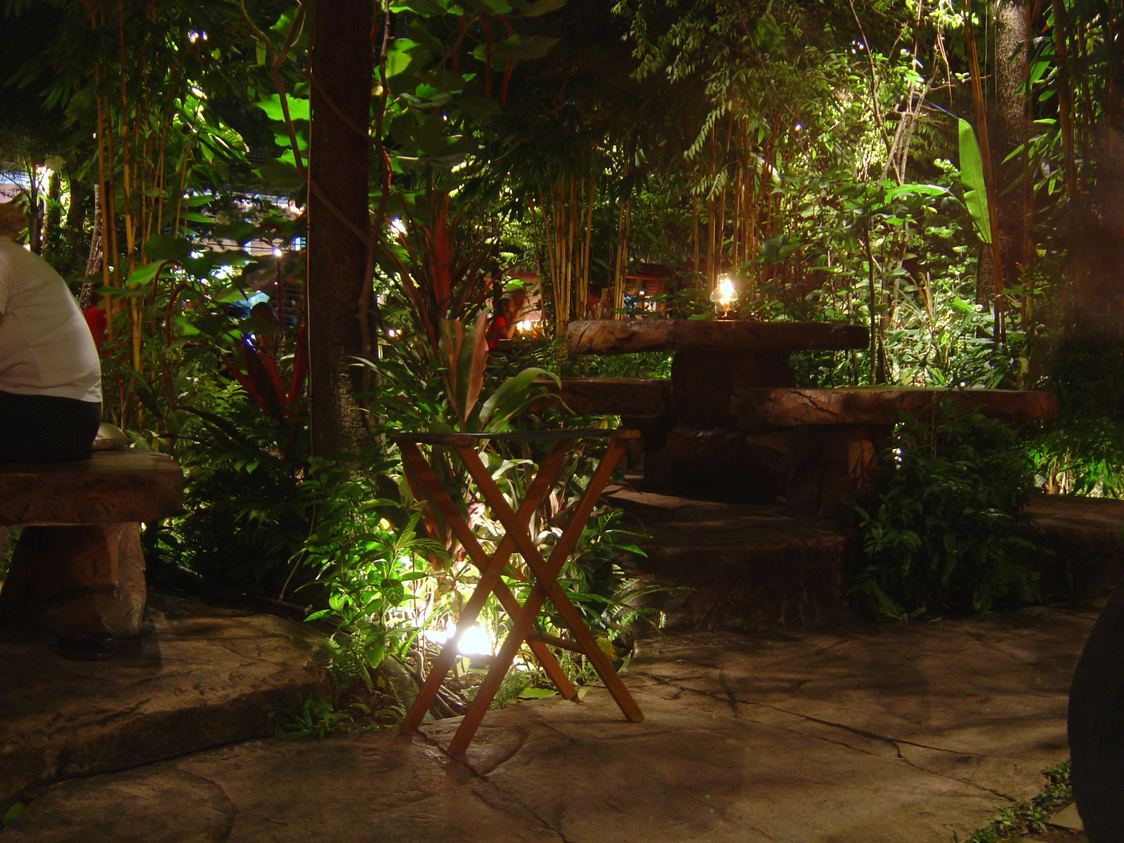 รูปถ่าย ไทย(Thailand) ภูเก็ต(Phuket) ไดโนบาร์(Dino Bar) 2005-12 7