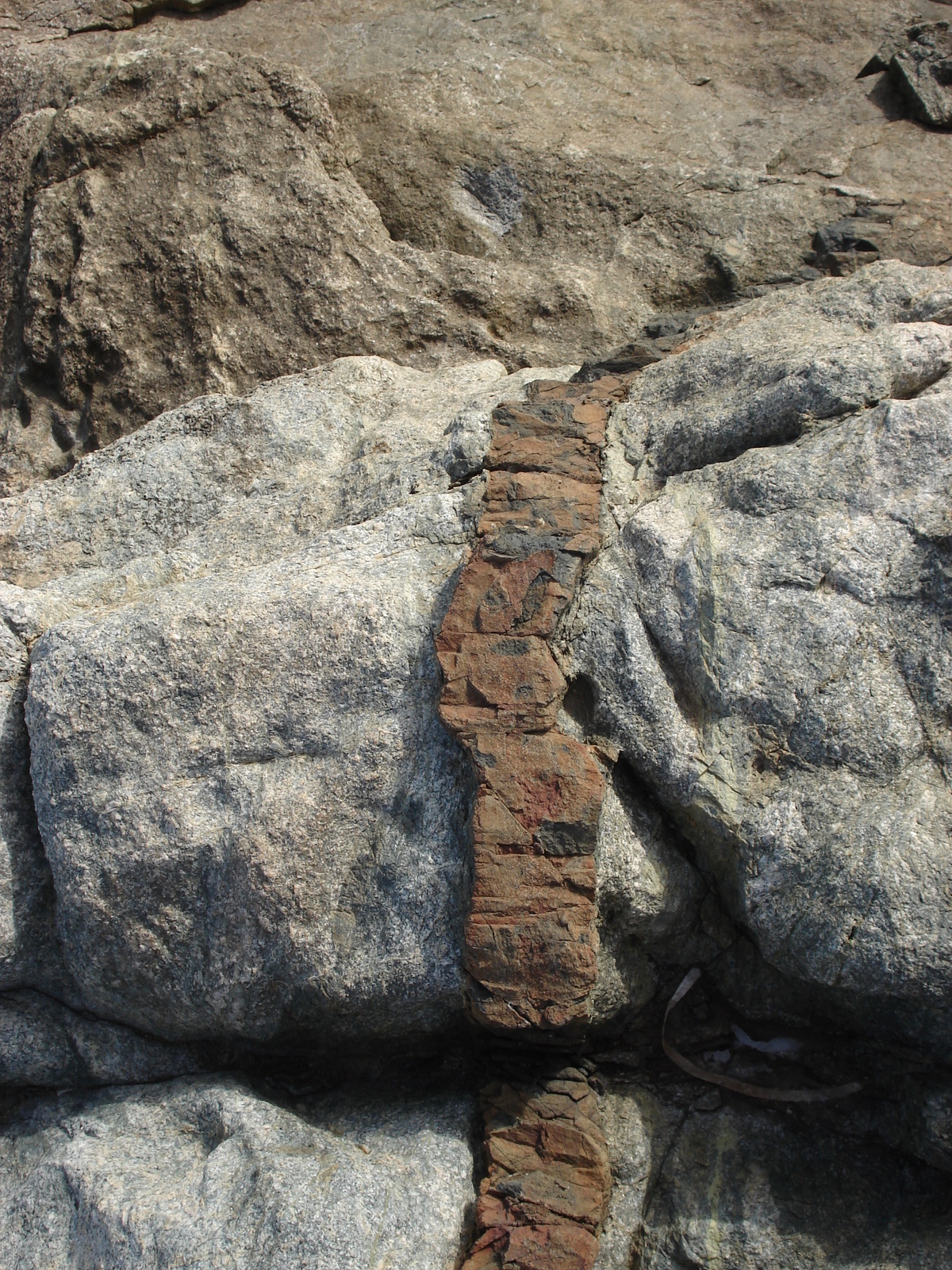 รูปถ่าย ฝรั่งเศส(France) คอร์สิคา(Corsica) ลูมิโอ่(Lumio) 2006-09 31