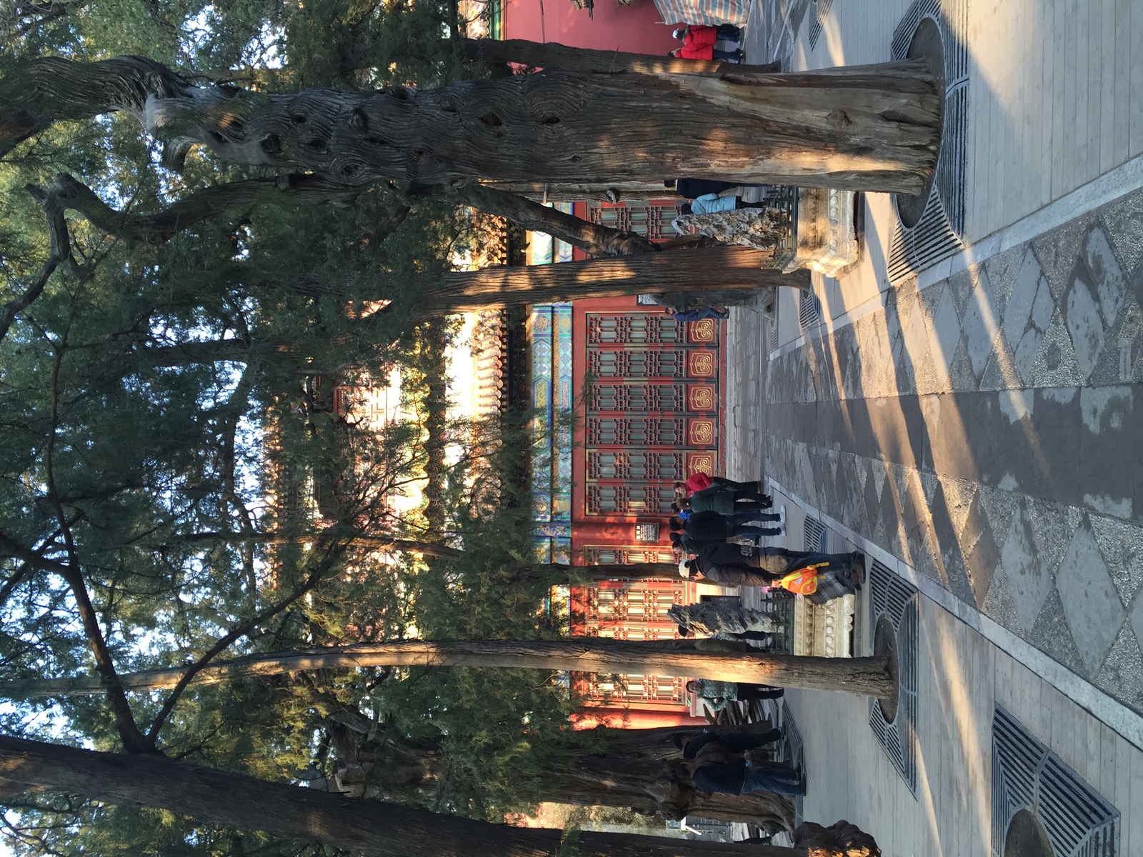 รูปถ่าย จีน(China) ปักกิ่ง(Beijing) พระราชวังต้องห้าม(Forbidden City) 2015-12 155