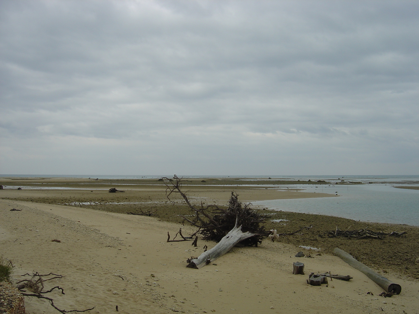 รูปถ่าย ไทย(Thailand) เขาหลัก(Khao Lak) 2005-12 39