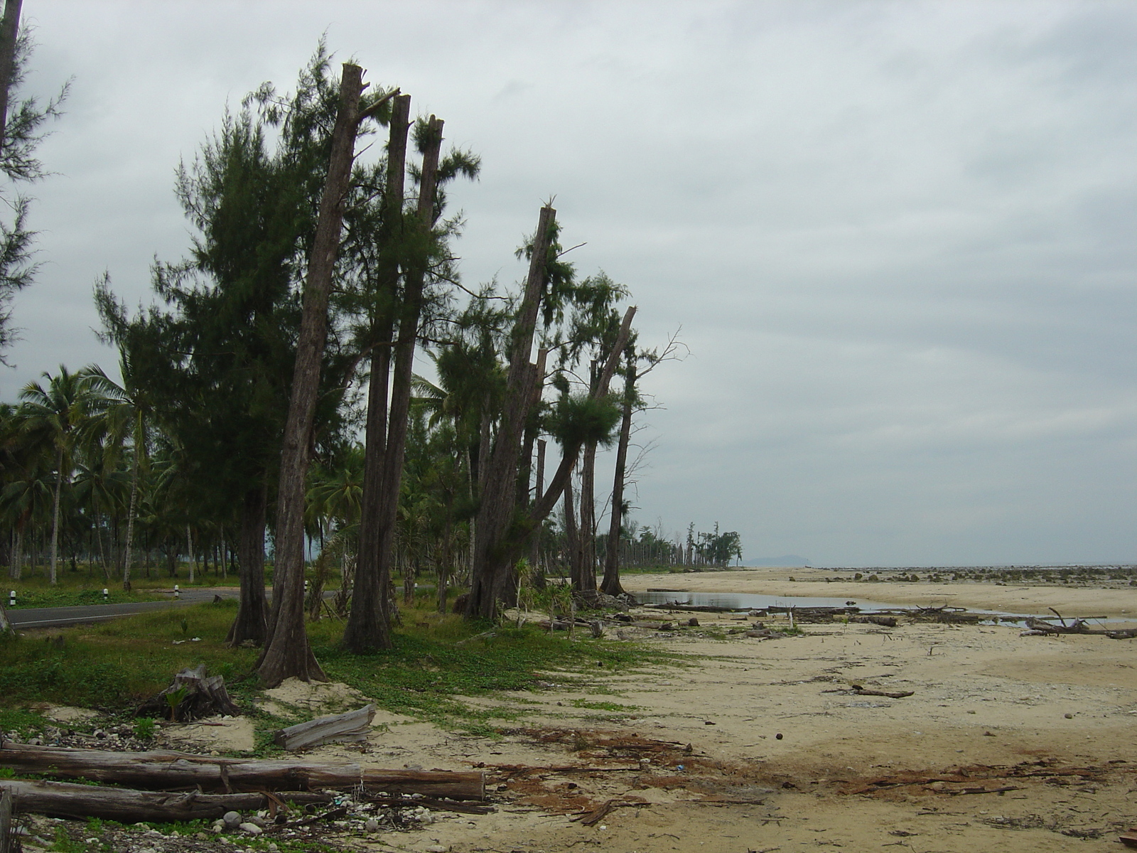 รูปถ่าย ไทย(Thailand) เขาหลัก(Khao Lak) 2005-12 48