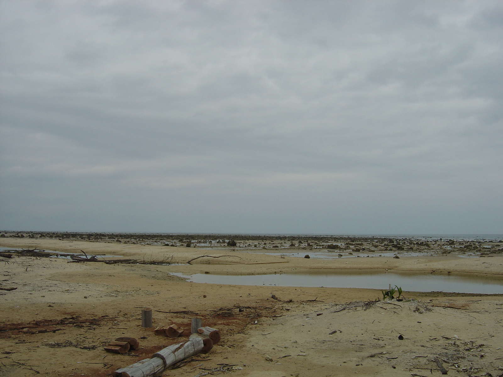 รูปถ่าย ไทย(Thailand) เขาหลัก(Khao Lak) 2005-12 53