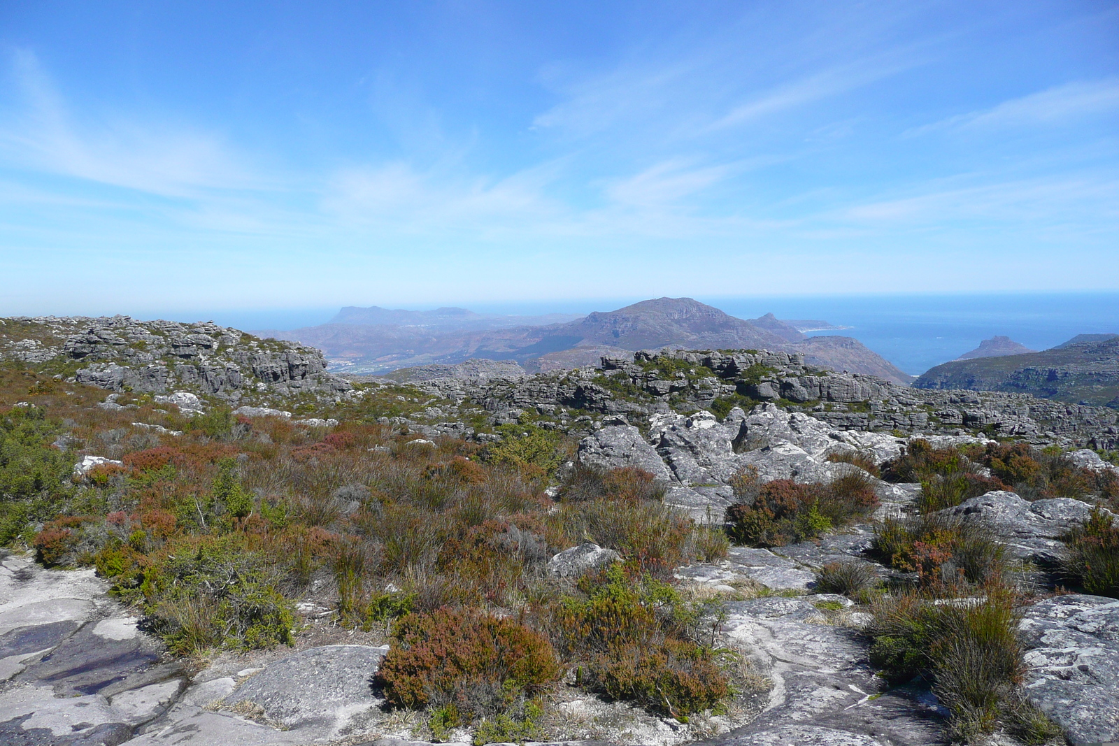 รูปถ่าย แอฟริกาใต้(South Africa) เคปทาวน์(Cape Town) ภูเขาเทเบิล(Table Mountain) 2008-09 27