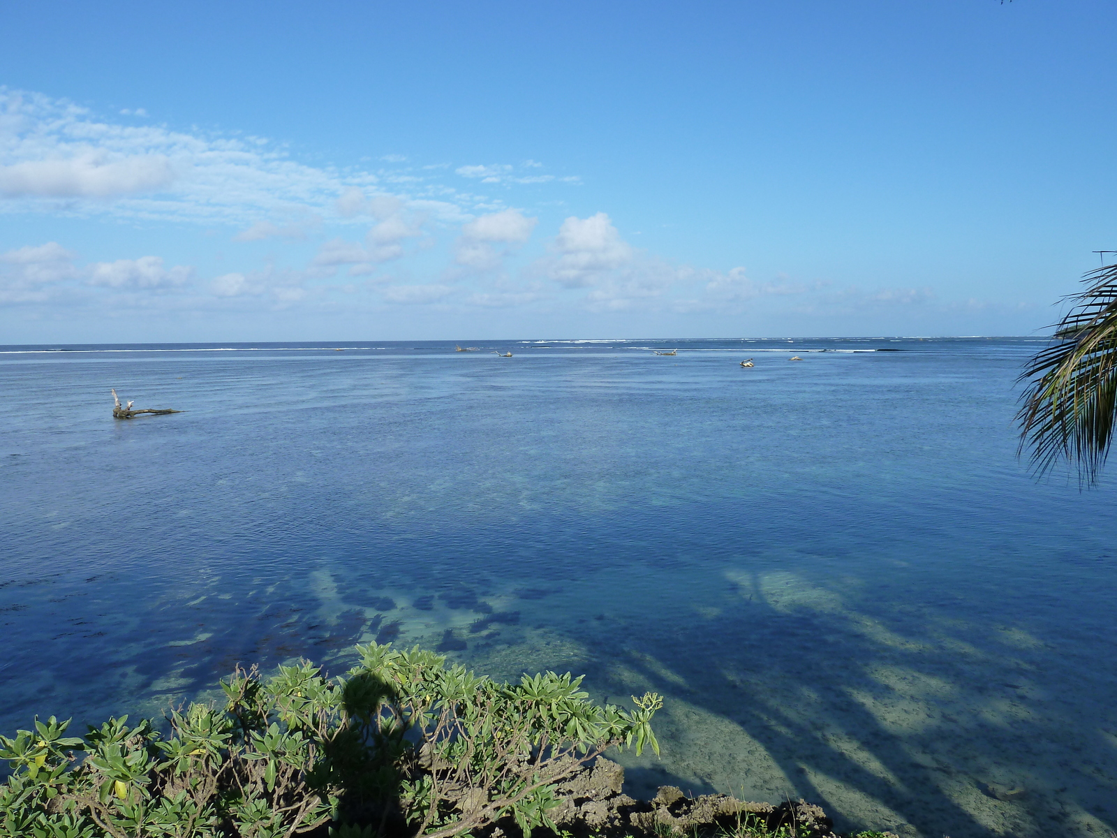 รูปถ่าย ฟิจิ(Fiji) รีสอร์ตแชงกรี-ลาฟิเจียน(Shangri La Fijian Resort) 2010-05 27