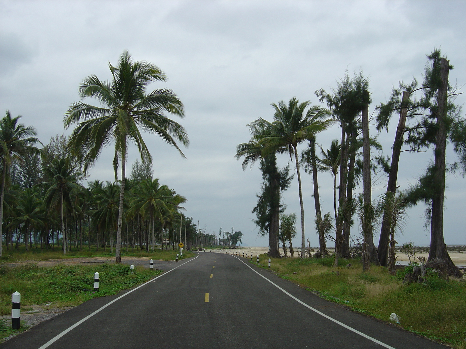 รูปถ่าย ไทย(Thailand) เขาหลัก(Khao Lak) 2005-12 3