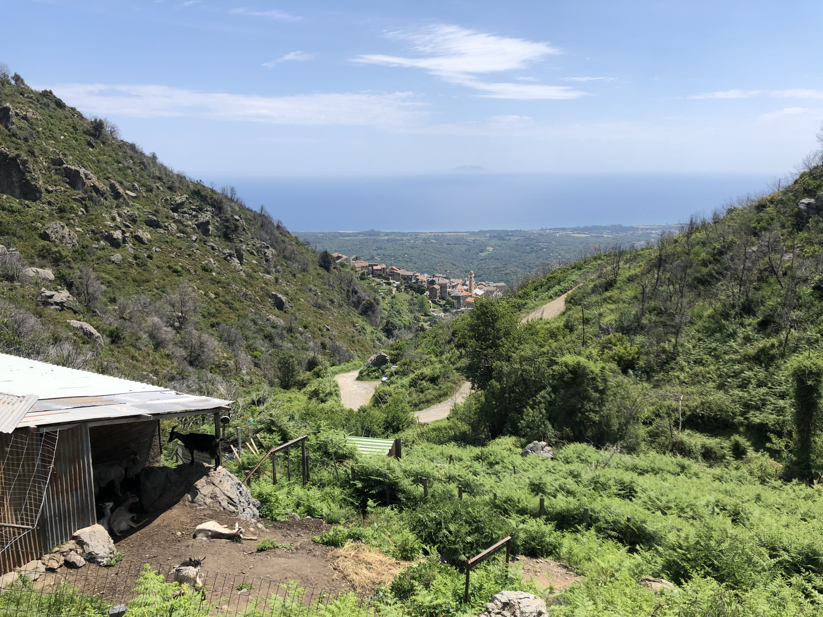 รูปถ่าย ฝรั่งเศส(France) คอร์สิคา(Corsica) 2021-05 54