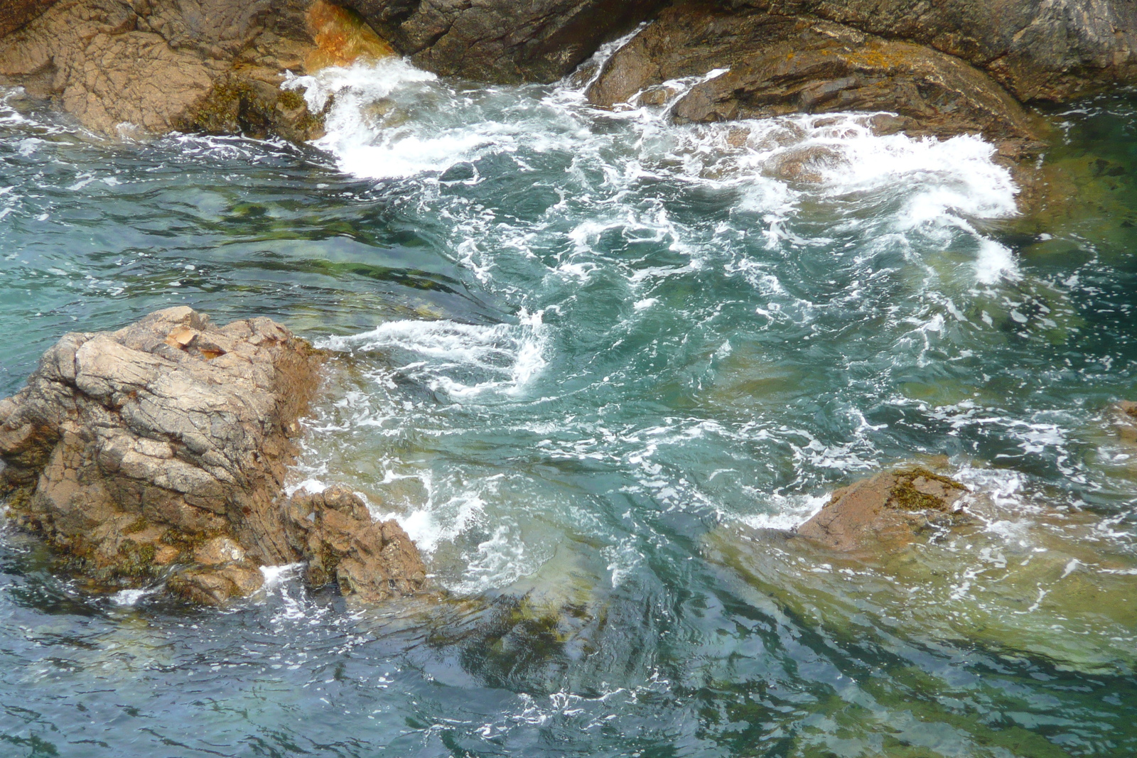 รูปถ่าย ฝรั่งเศส(France) แหลมซีซ็อง(Cap Sizun) 2008-07 2
