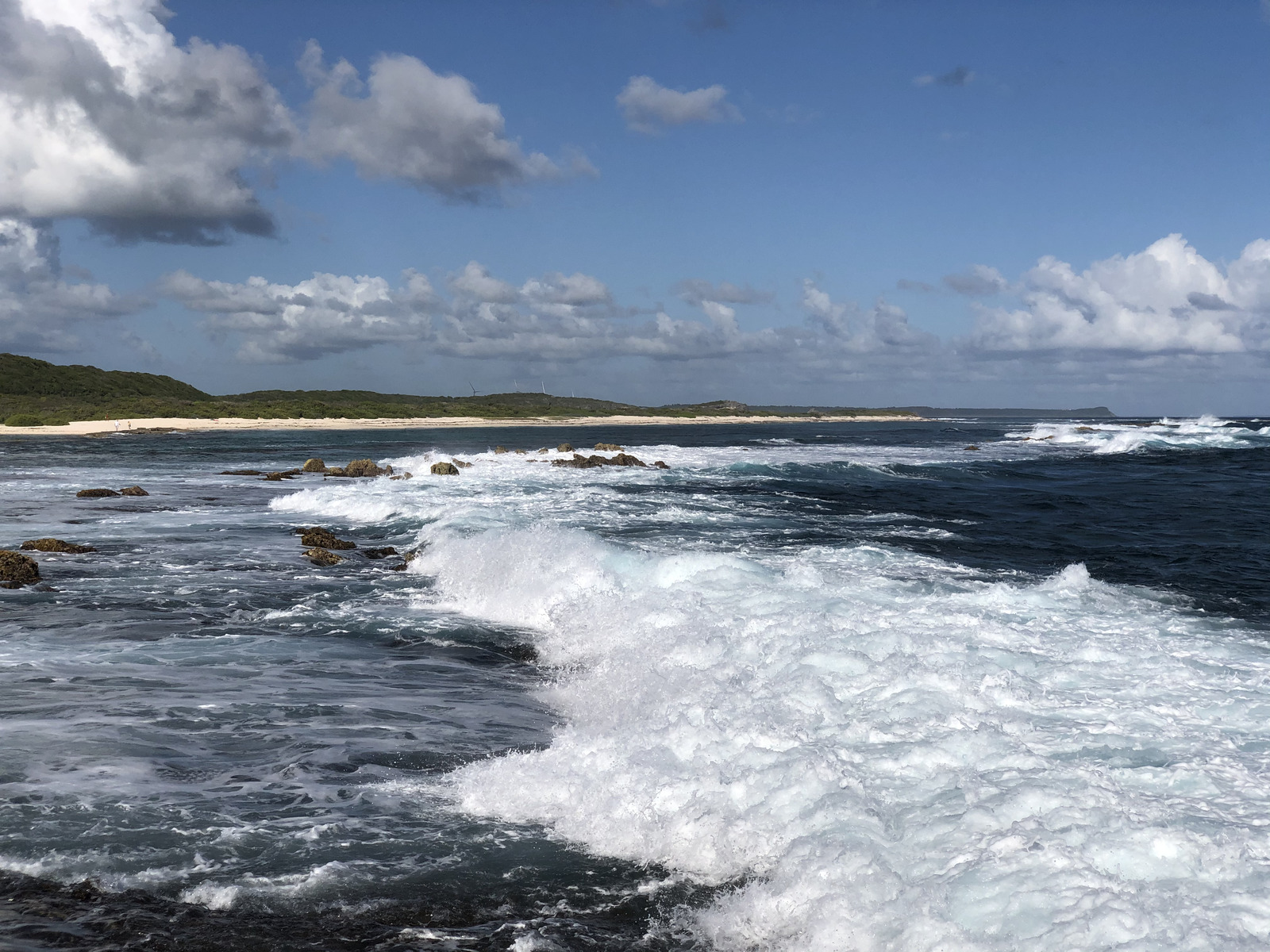 รูปถ่าย กวาเดอลูป(Guadeloupe) แหลมคาสเซิลพอยต์(Castle Point) 2021-02 358