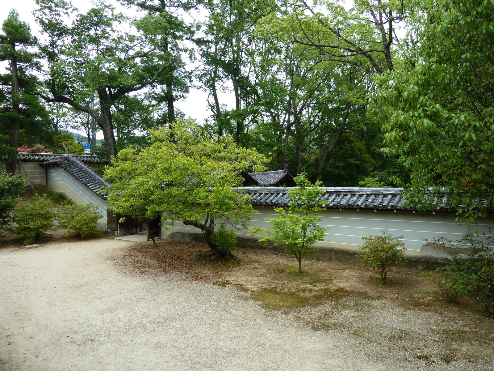 รูปถ่าย ญี่ปุ่น(Japan) เกียวโต(Kyoto) วัดนินนะจิ(Ninna ji Temple) 2010-06 37