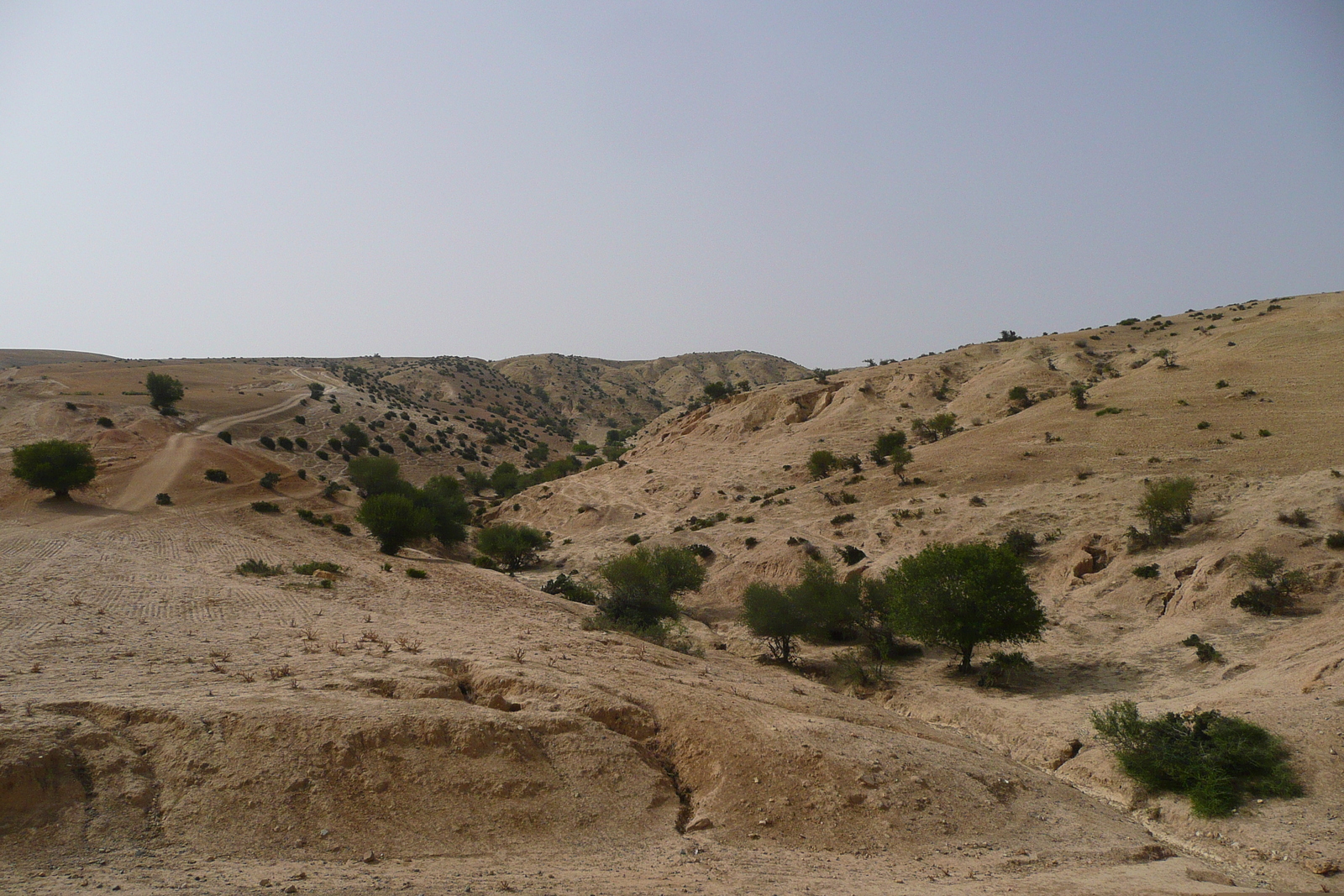 รูปถ่าย โมร็อกโก(Morocco) ถนนจากเฟสไปราบัต(Fes to Rabat Road) 2008-07 55