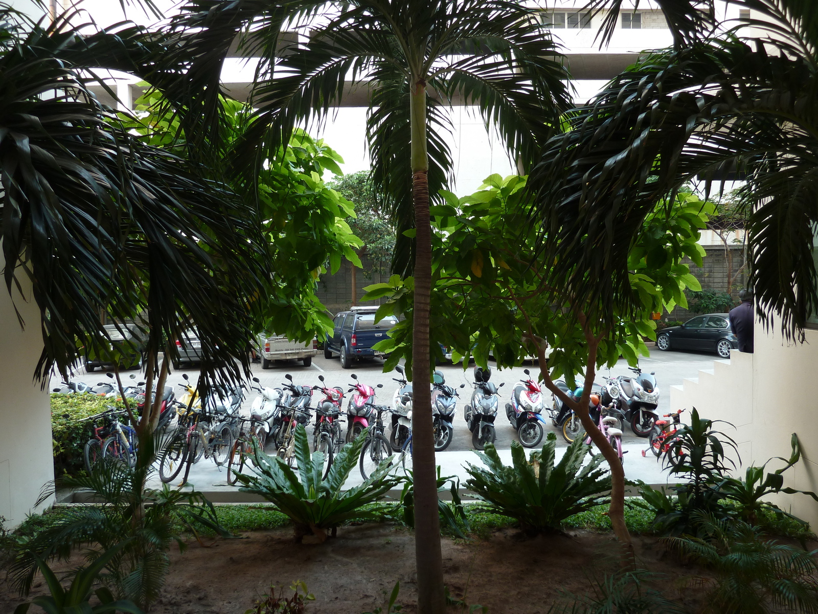 รูปถ่าย ไทย(Thailand) พัทยา(Pattaya) วิวทะเล 3(View Talay 3) 2011-01 41