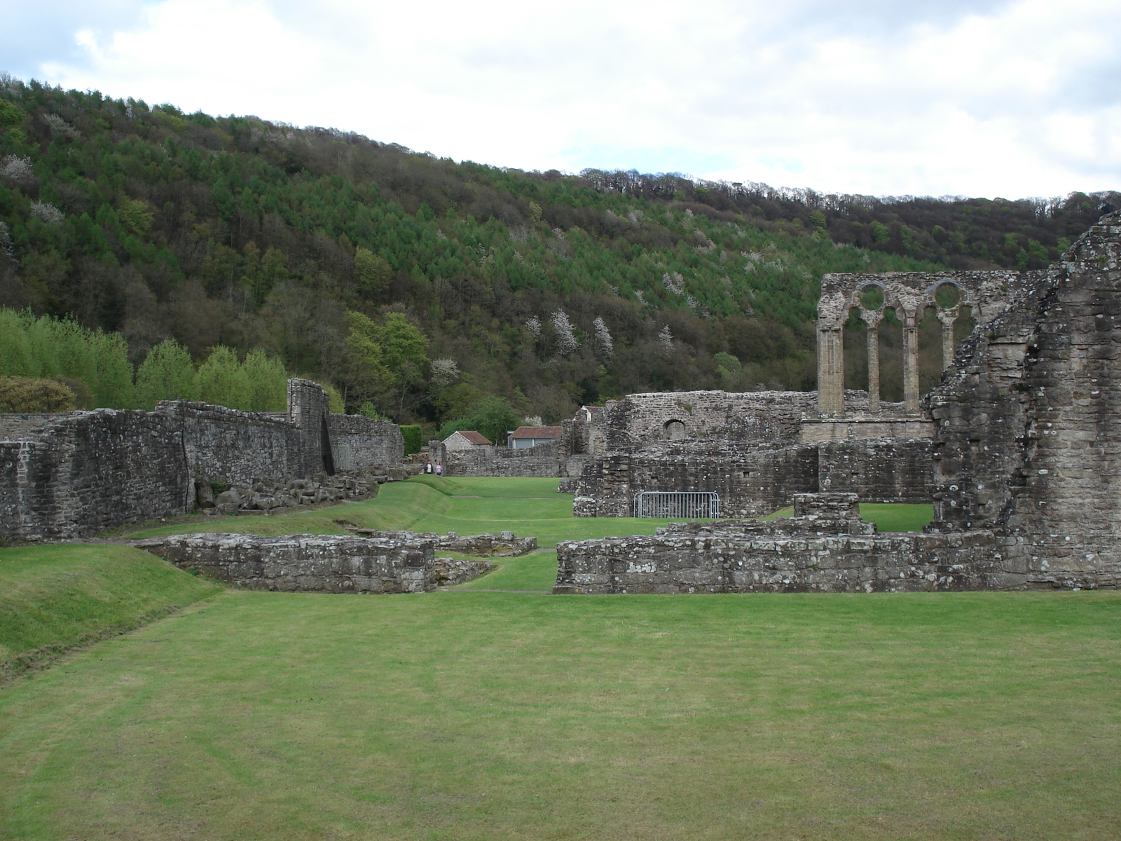 รูปถ่าย อังกฤษ(United Kingdom) ทินเทิร์น(Tintern) 2006-05 26