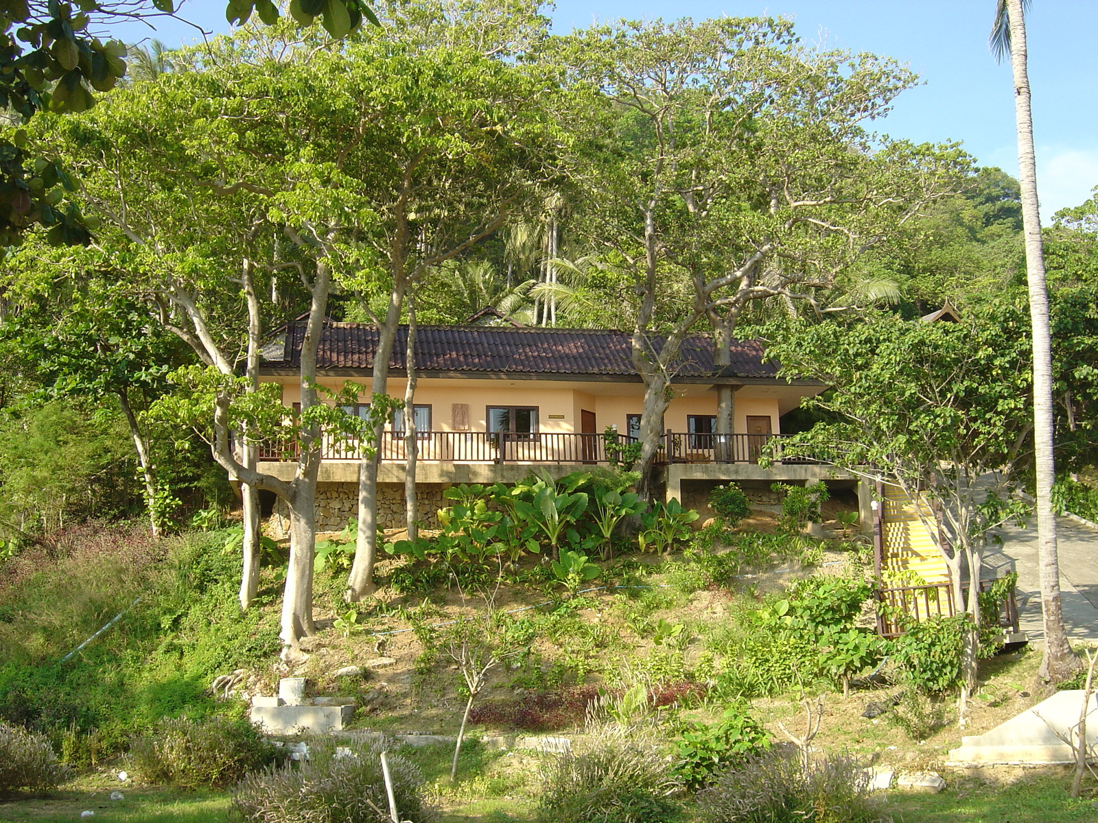 รูปถ่าย ไทย(Thailand) ภูเก็ต(Phuket) หาดในหาน(Nai Harn Beach) 2005-12 35