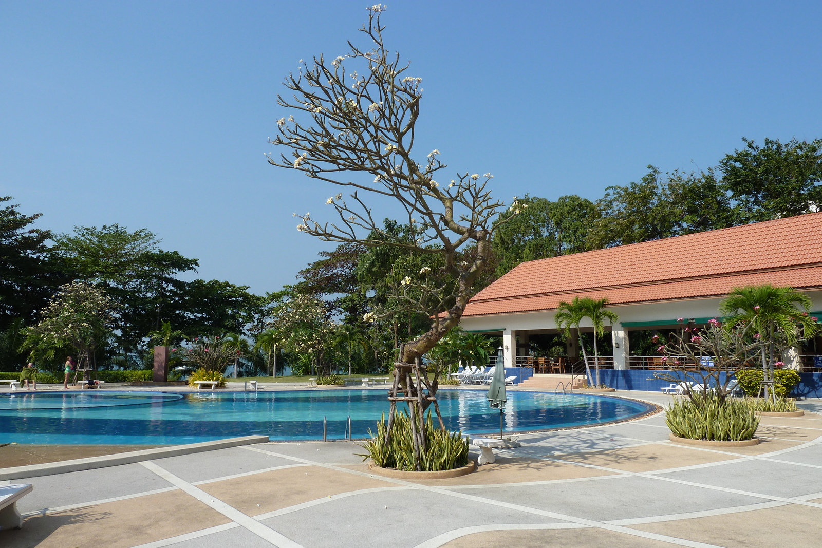 รูปถ่าย ไทย(Thailand) พัทยา(Pattaya) วิวทะเล 3(View Talay 3) 2011-01 56