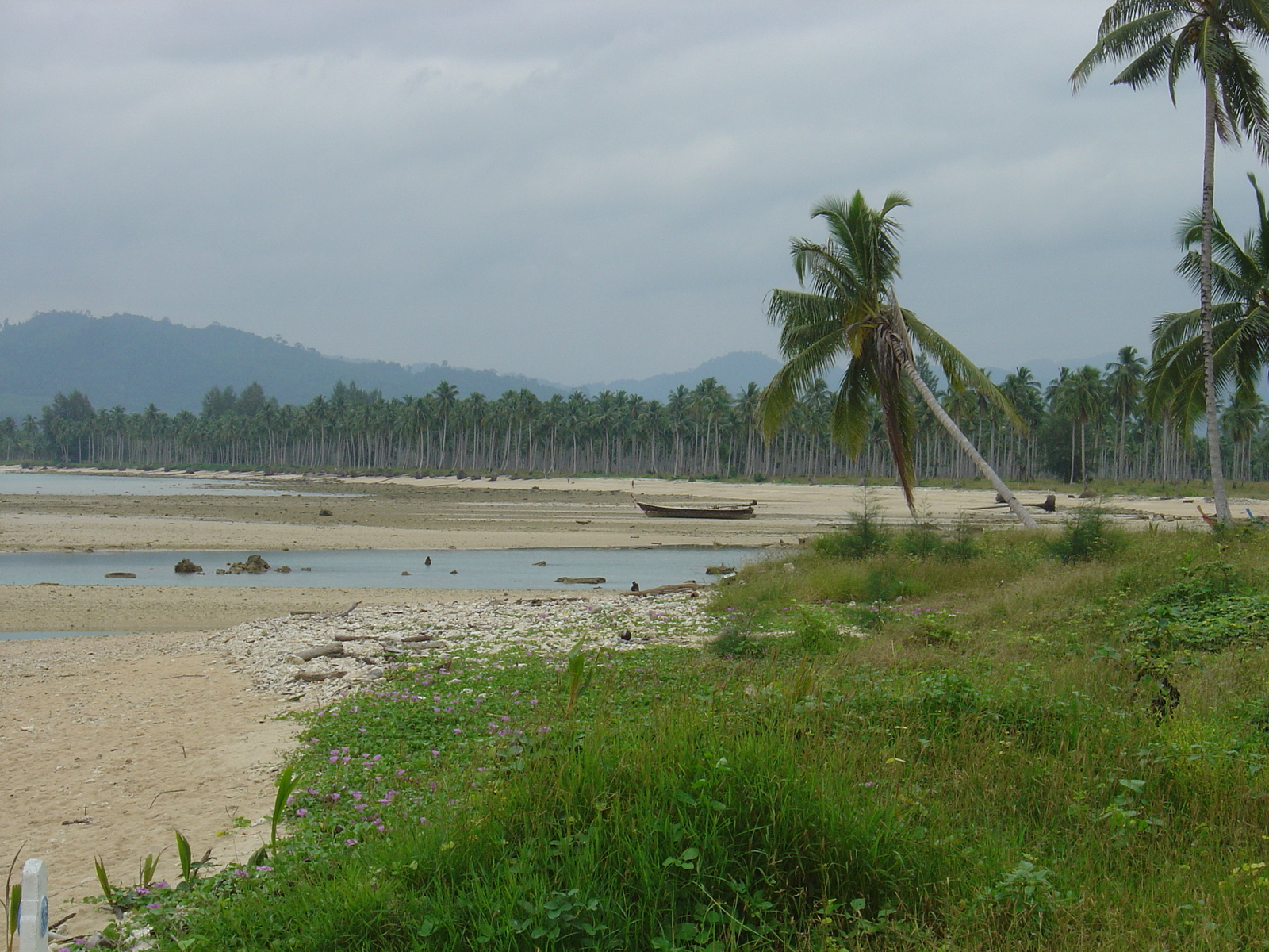 รูปถ่าย ไทย(Thailand) เขาหลัก(Khao Lak) 2005-12 50