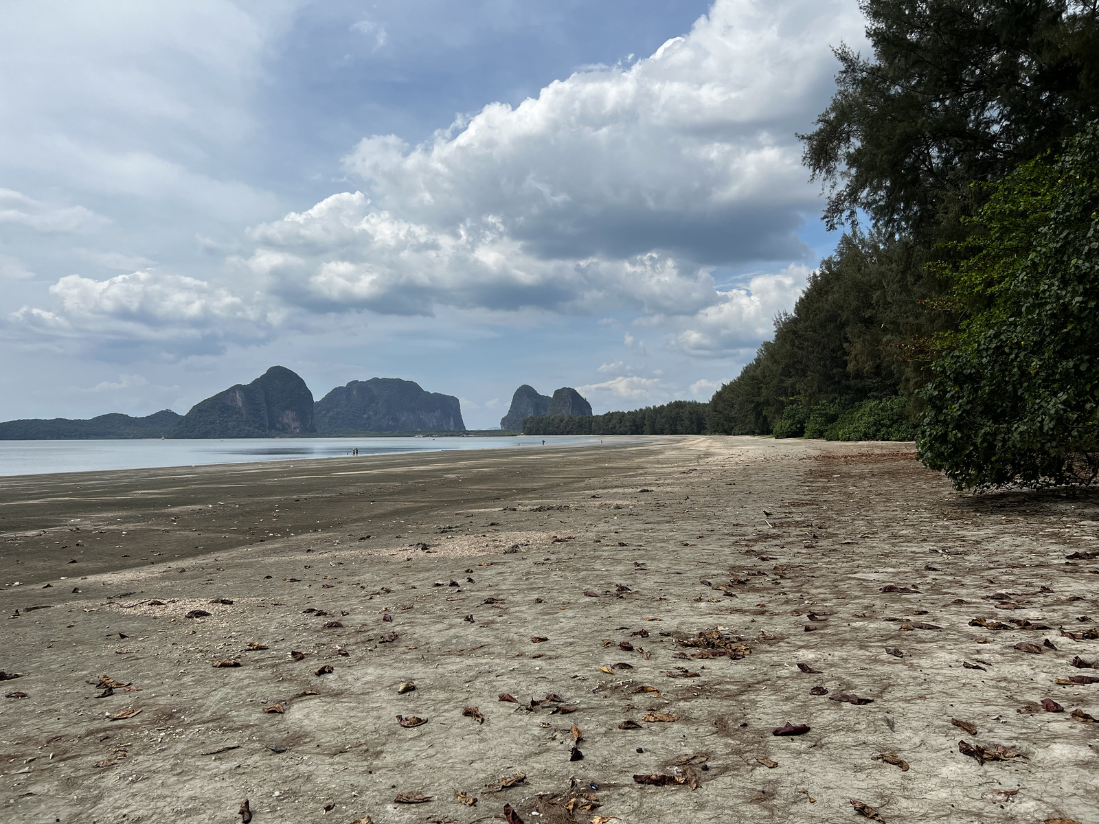 รูปถ่าย ไทย(Thailand) หาดยาว(Hat Yao) 2023-01 68