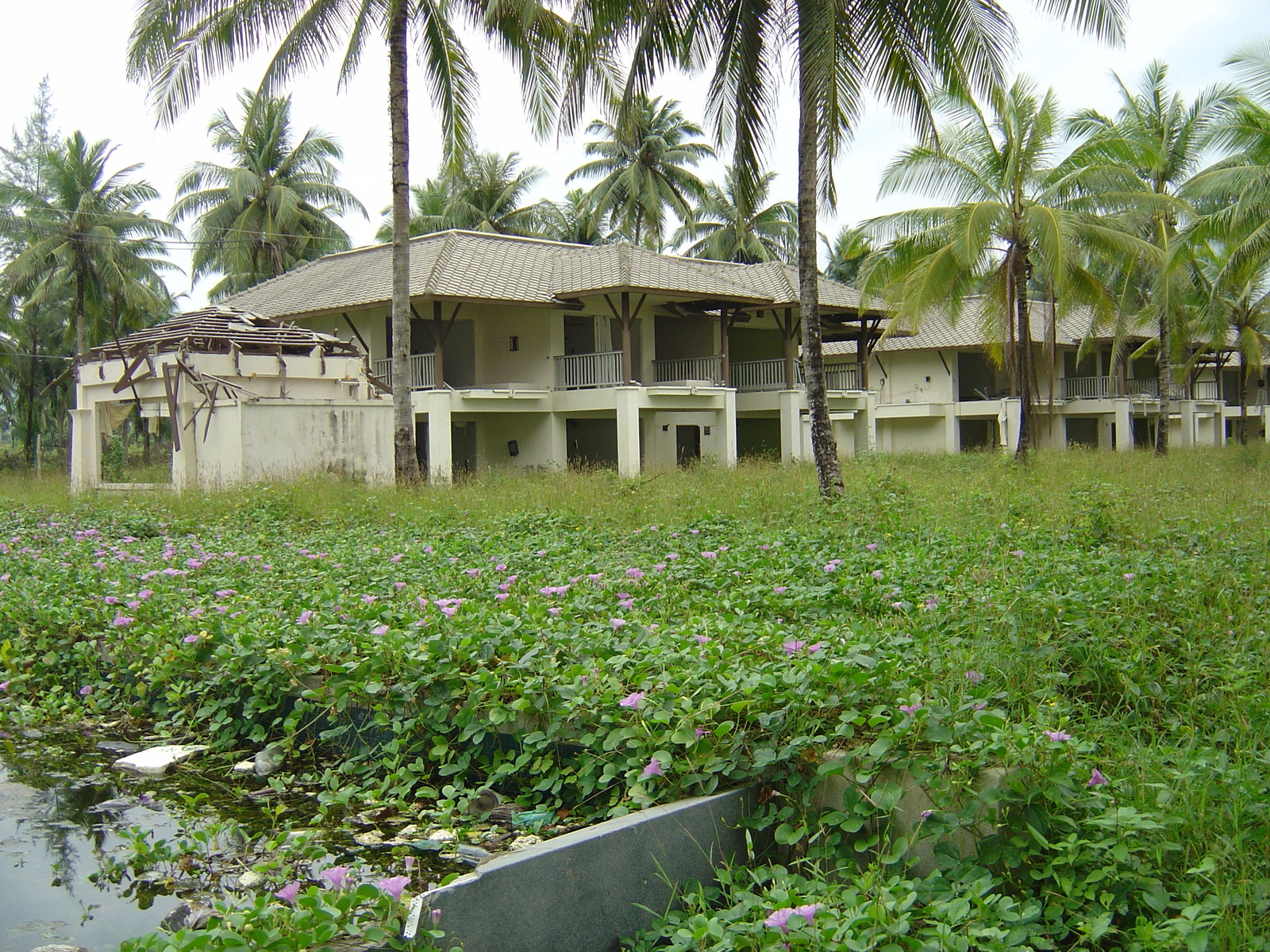 รูปถ่าย ไทย(Thailand) เขาหลัก(Khao Lak) 2005-12 38