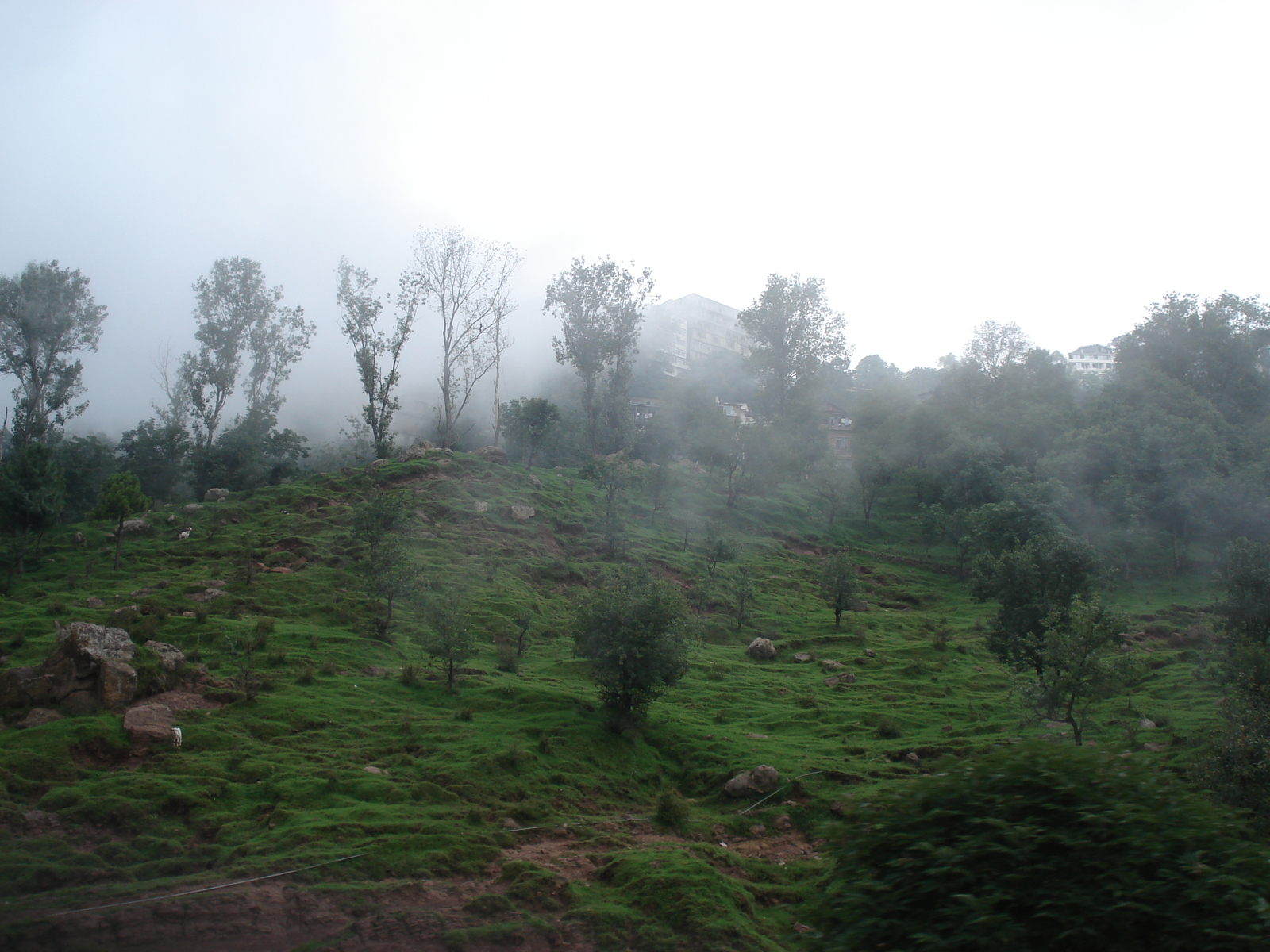 รูปถ่าย ปากีสถาน(Pakistan) มืร์รี(Murree) 2006-08 161
