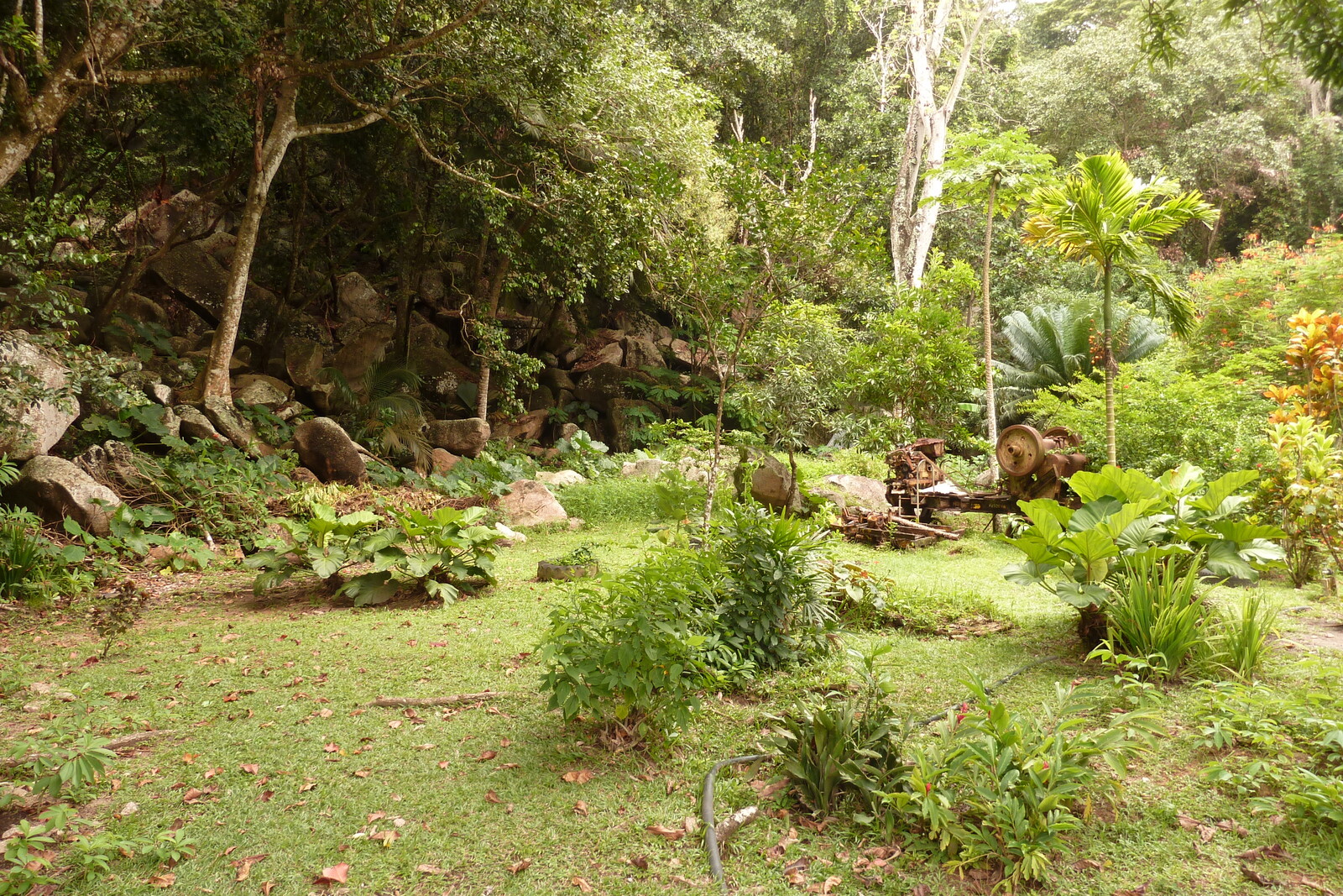 รูปถ่าย เซเชลส์(Seychelles) เกาะลาดีก(La Digue) 2011-10 136
