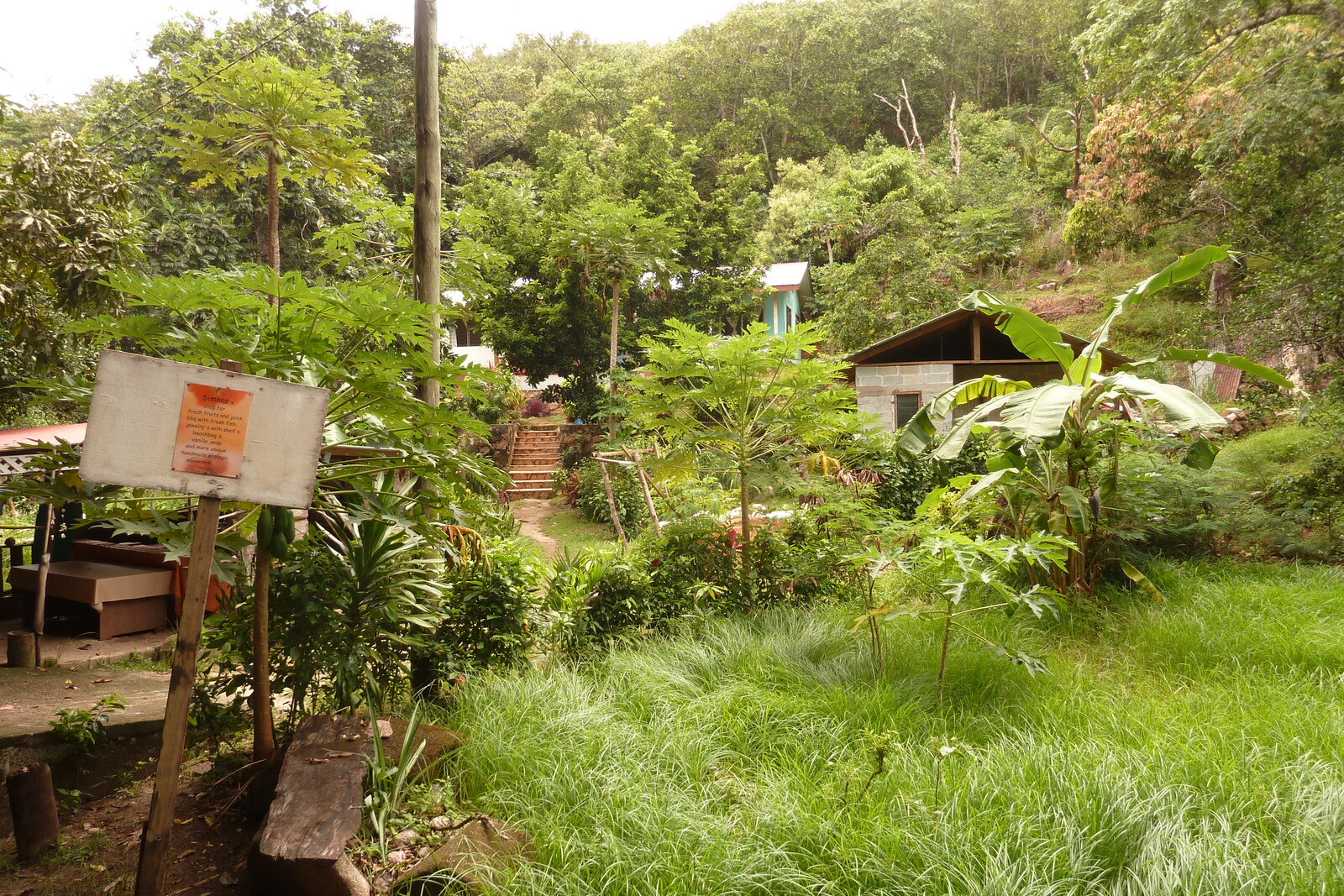รูปถ่าย เซเชลส์(Seychelles) เกาะลาดีก(La Digue) 2011-10 152