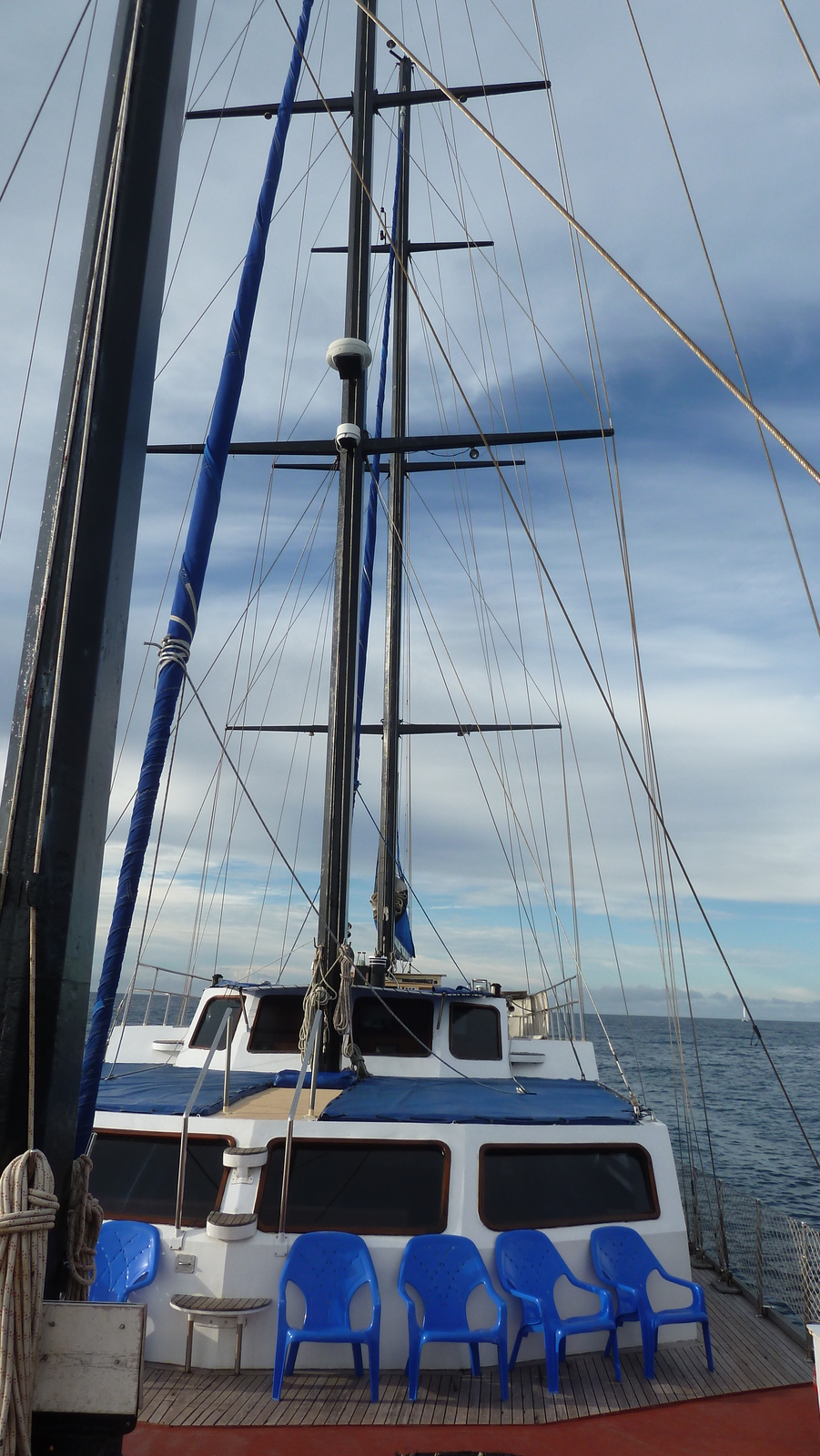 รูปถ่าย เซเชลส์(Seychelles) ซีสตาร์(Sea Star) 2011-10 70