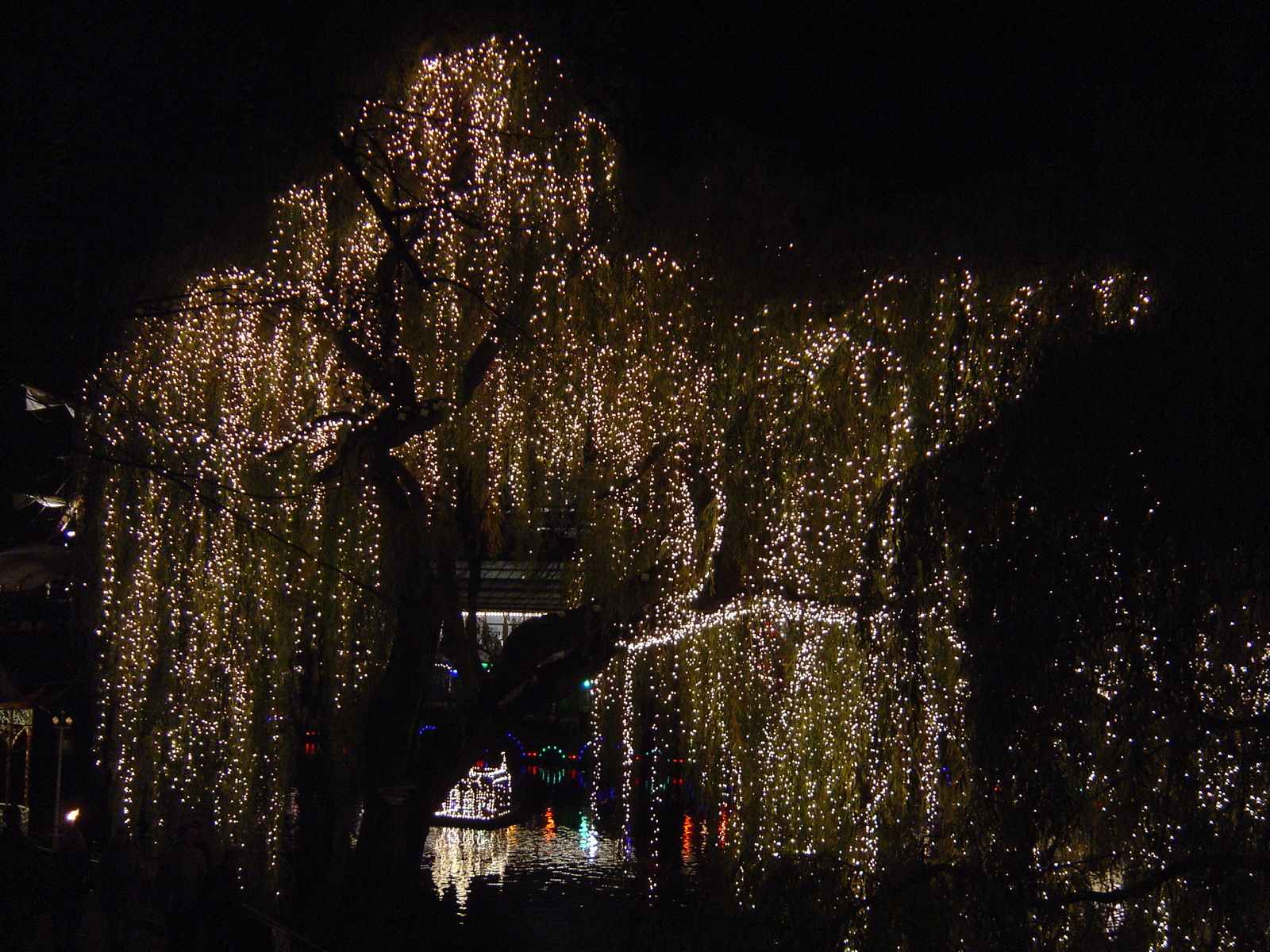 รูปถ่าย เดนมาร์ก(Denmark) โคเปนเฮเกน(Copenhagen) สวนสาธารณะทิโวลี(Tivoli Park) 2004-11 20