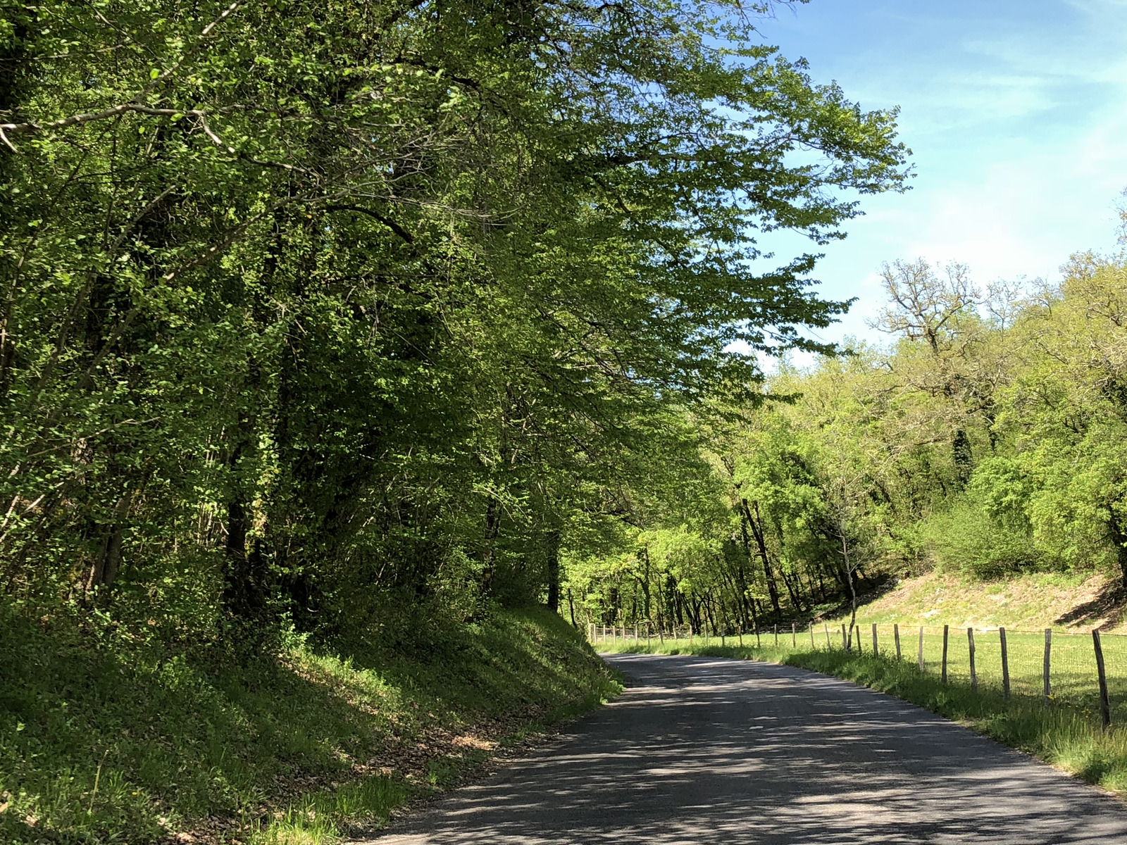 รูปถ่าย ฝรั่งเศส(France) ฟลัวรัก(Floirac) 2018-04 125