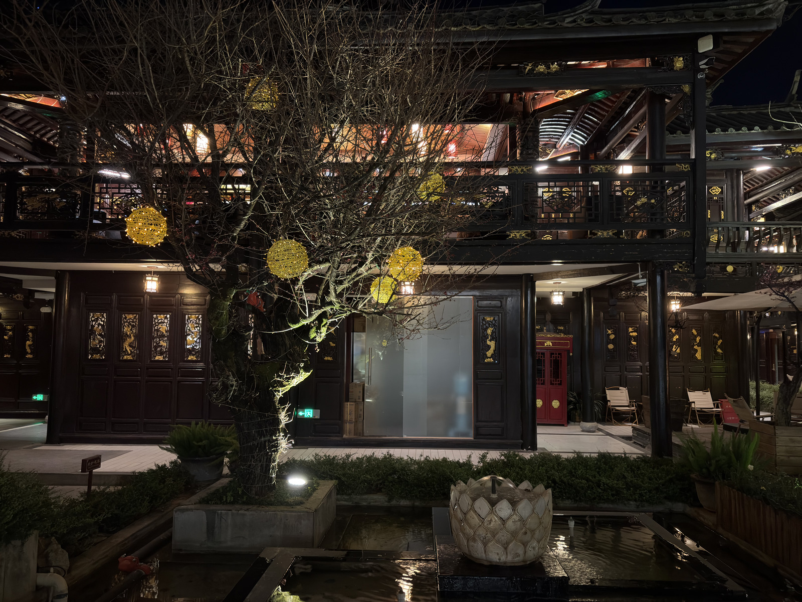 รูปถ่าย จีน(China) ลี่เจียง(Lijiang) 2026-01 486